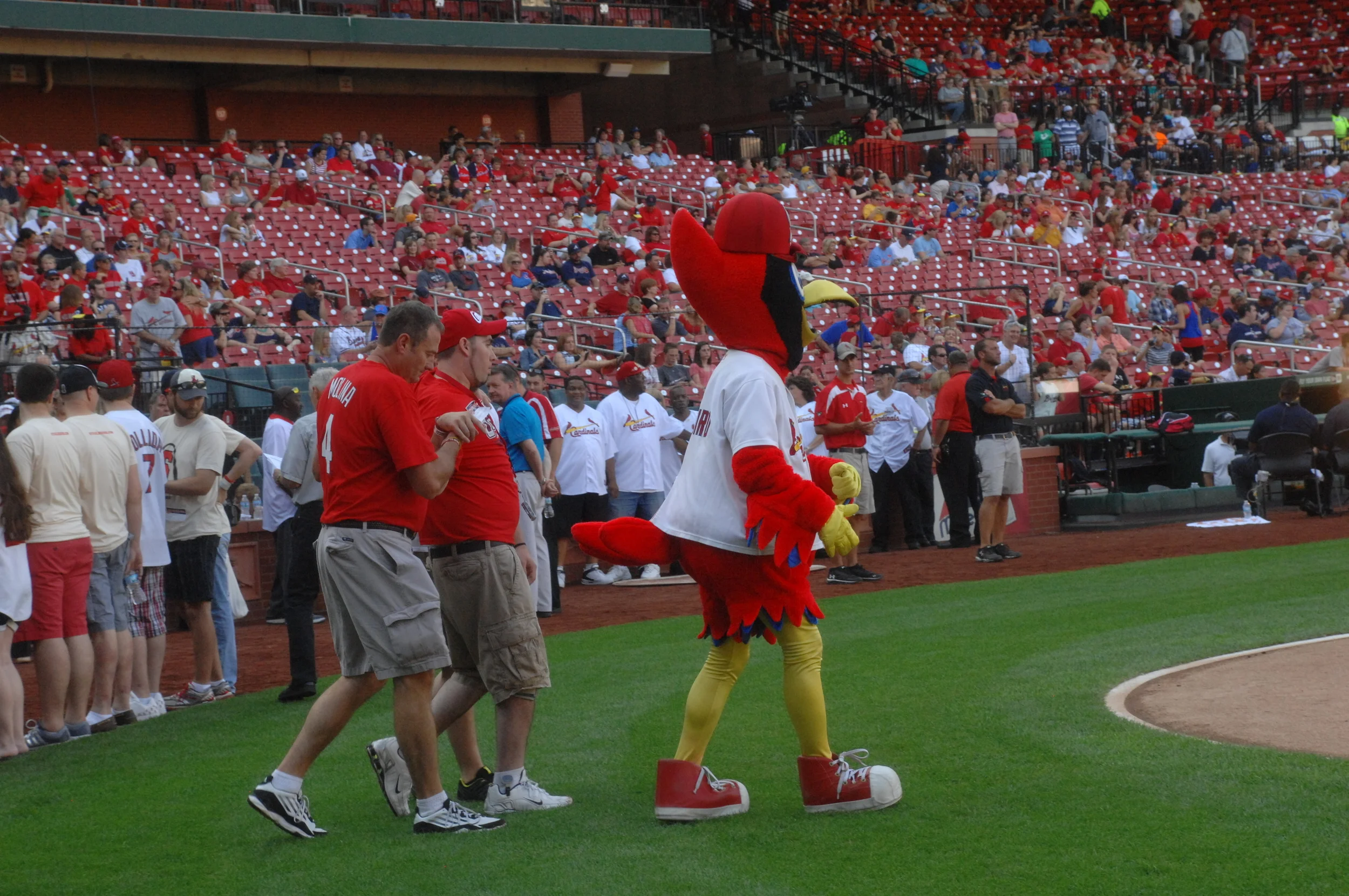 Cardinals2013 270.JPG