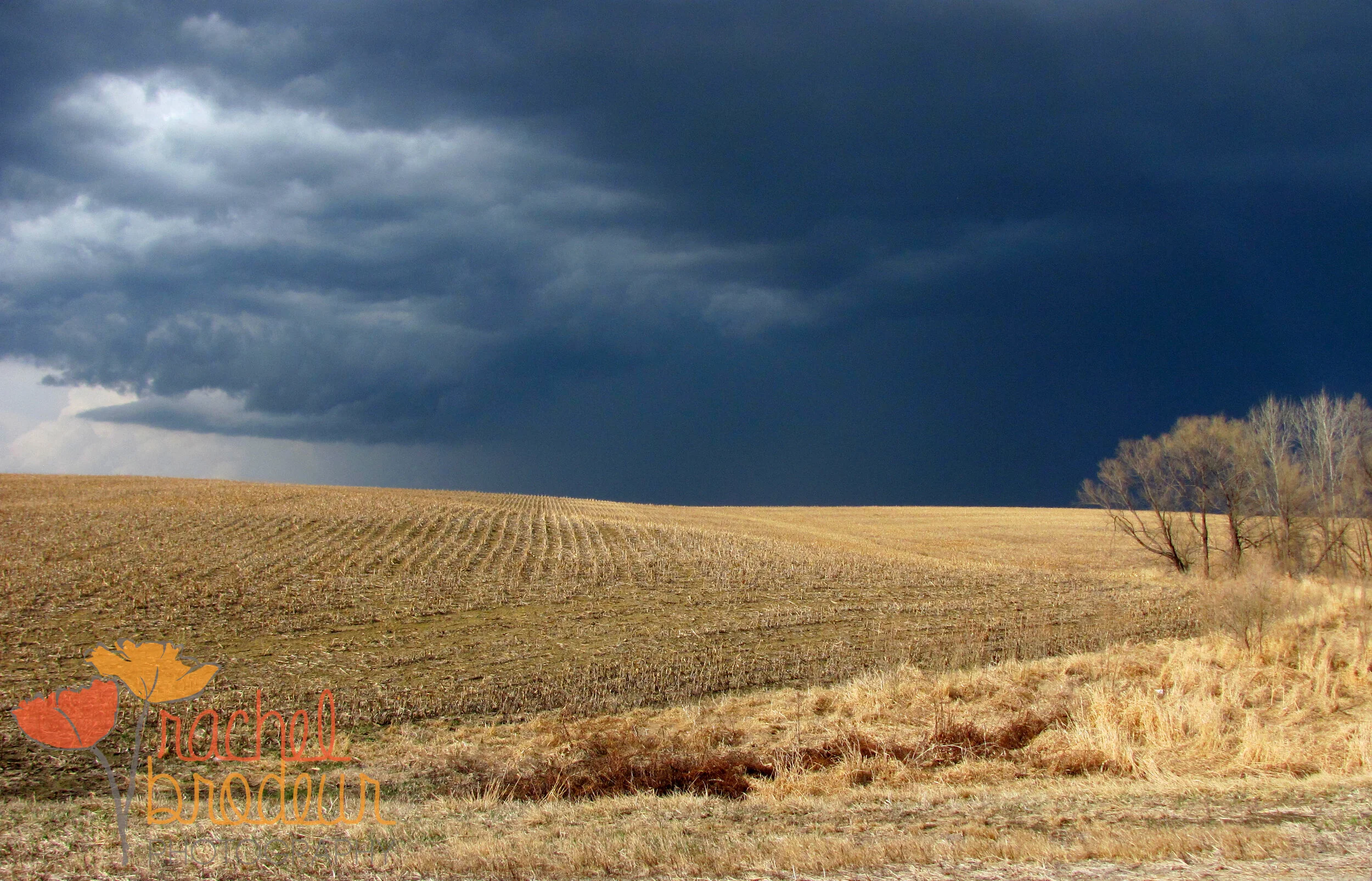 Blue-Yellow Storm-1.JPG