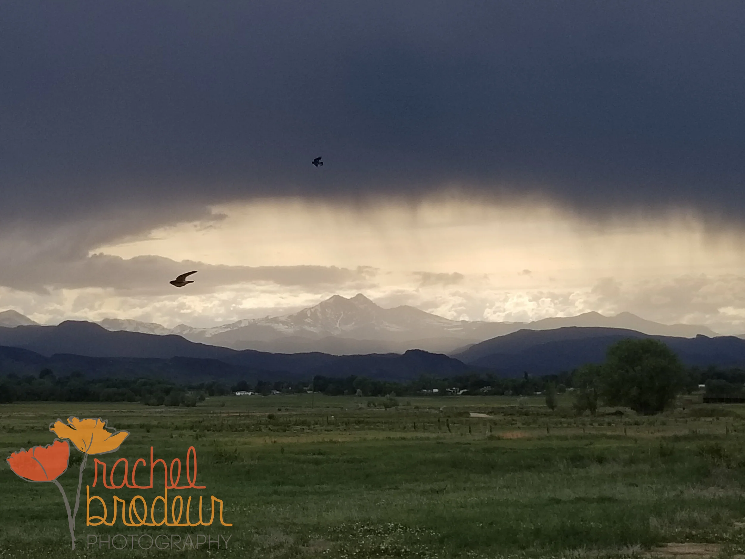 Landscape-8.JPG