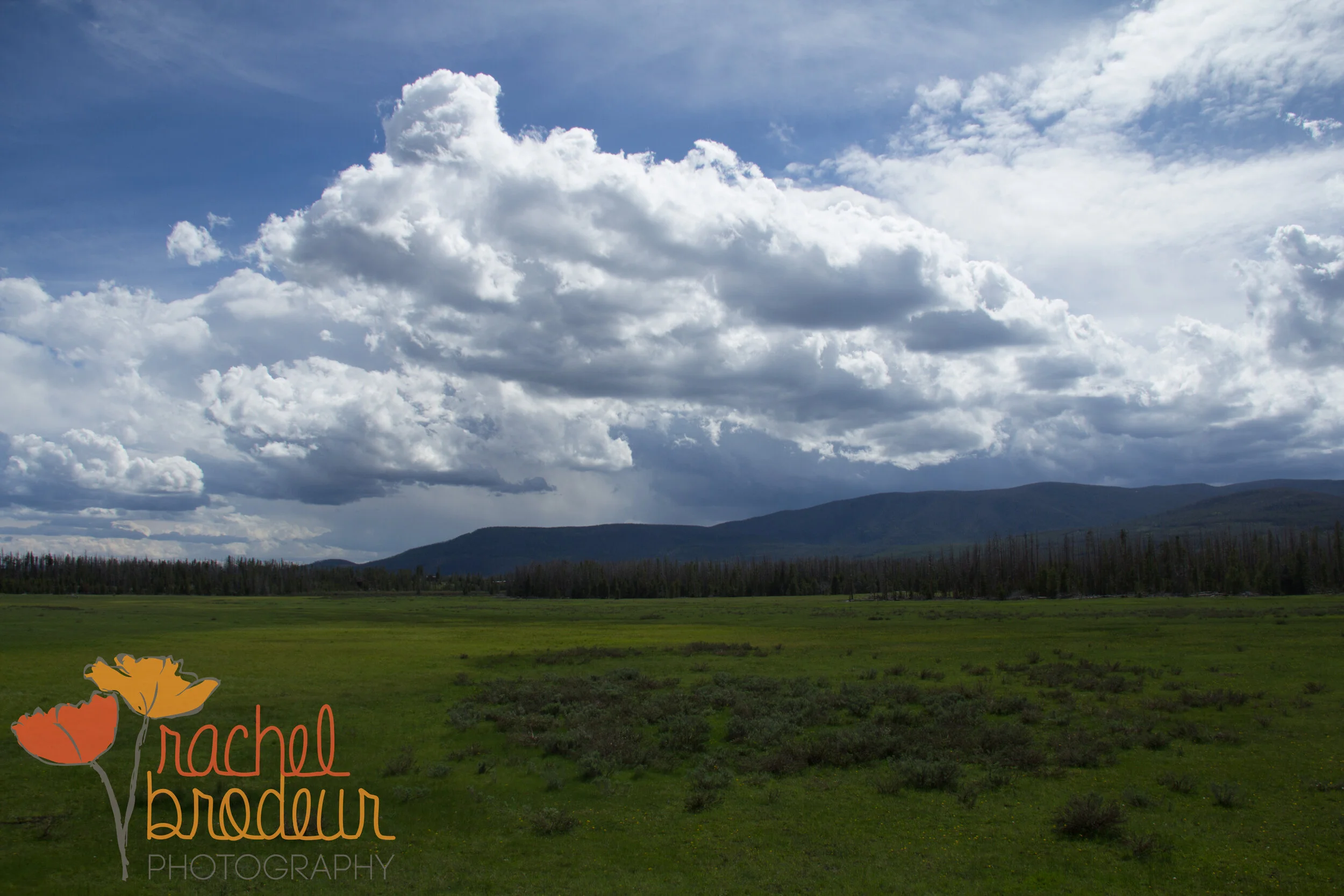 Landscape-11.JPG
