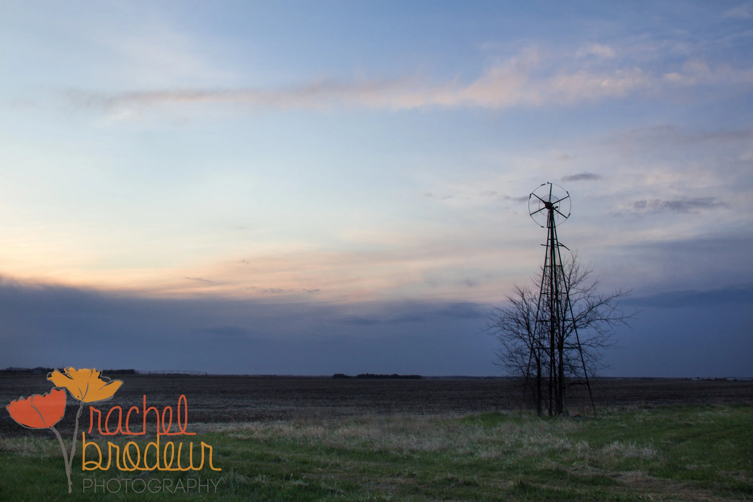 Rural-4.JPG