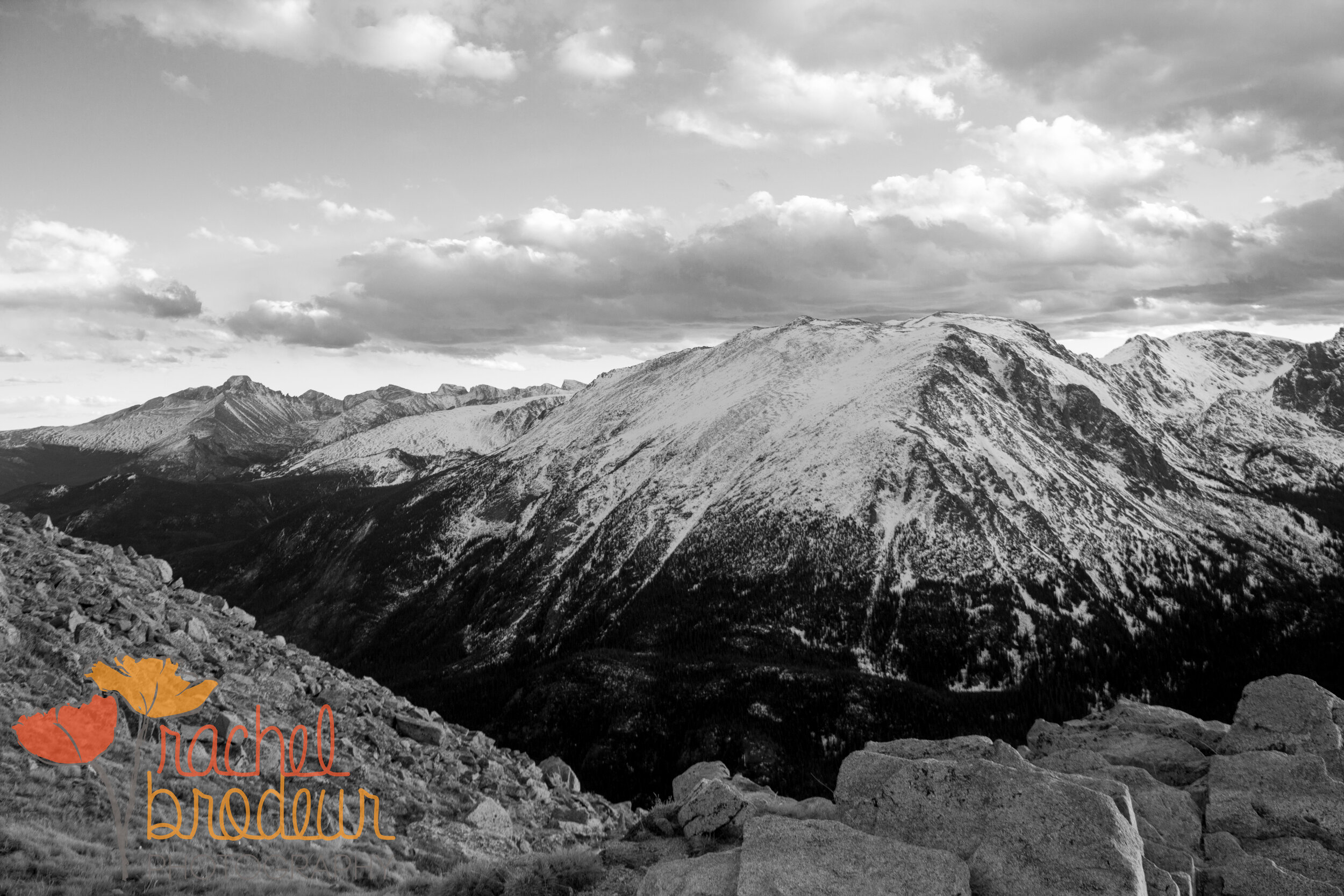BMM_B&W-6.JPG