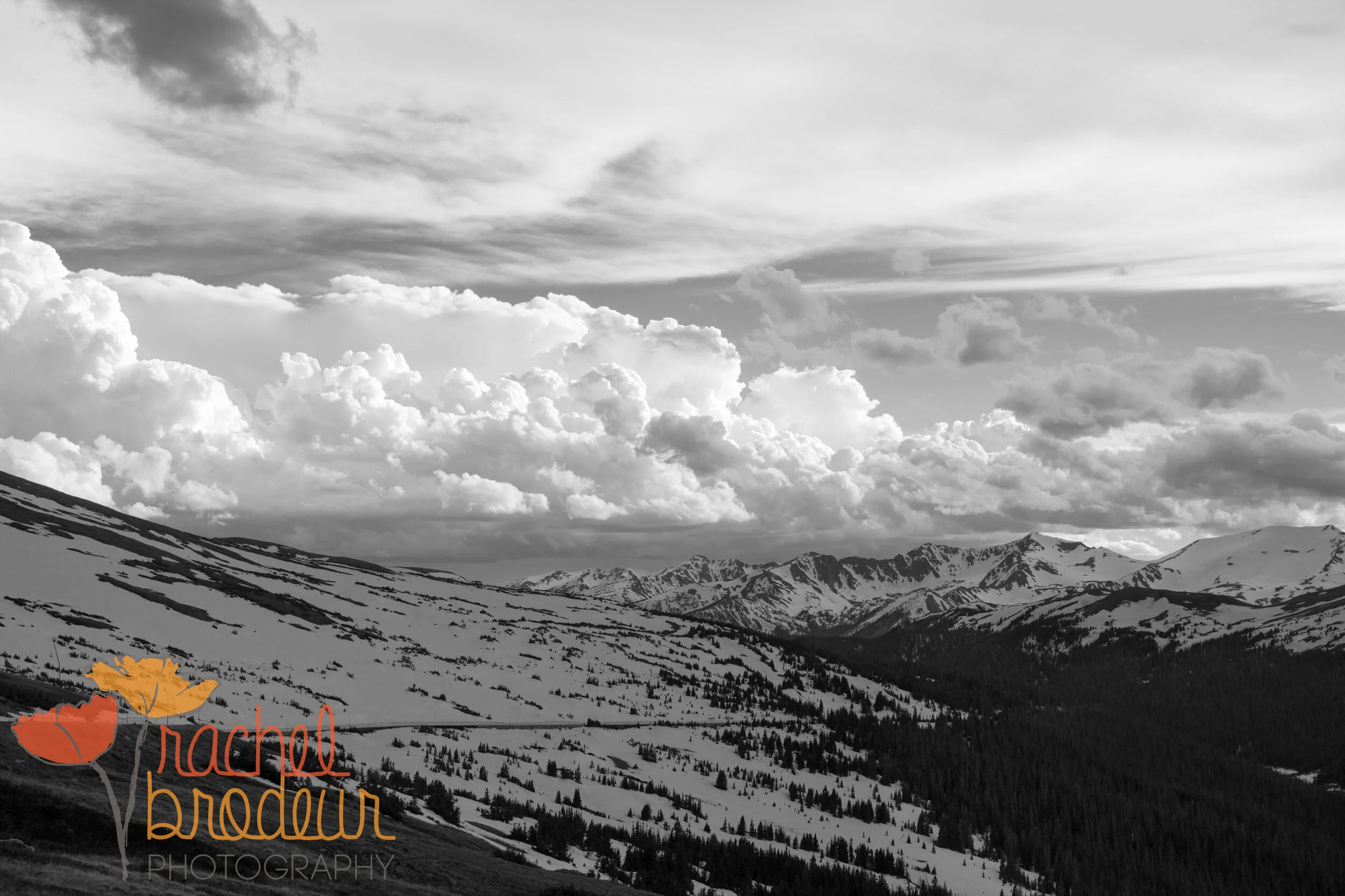 BMM_B&W-23.JPG