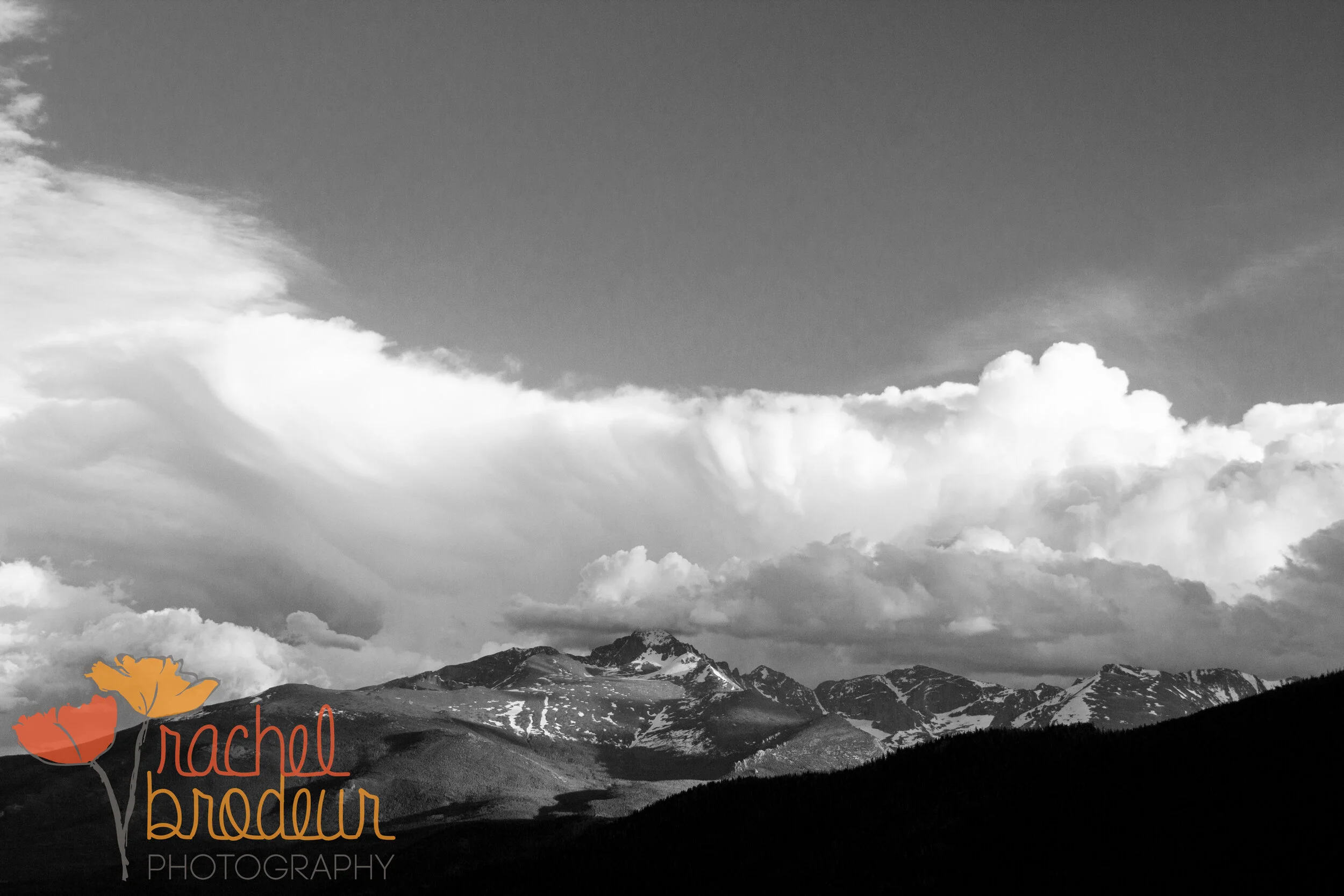 BMM_B&W-27.JPG