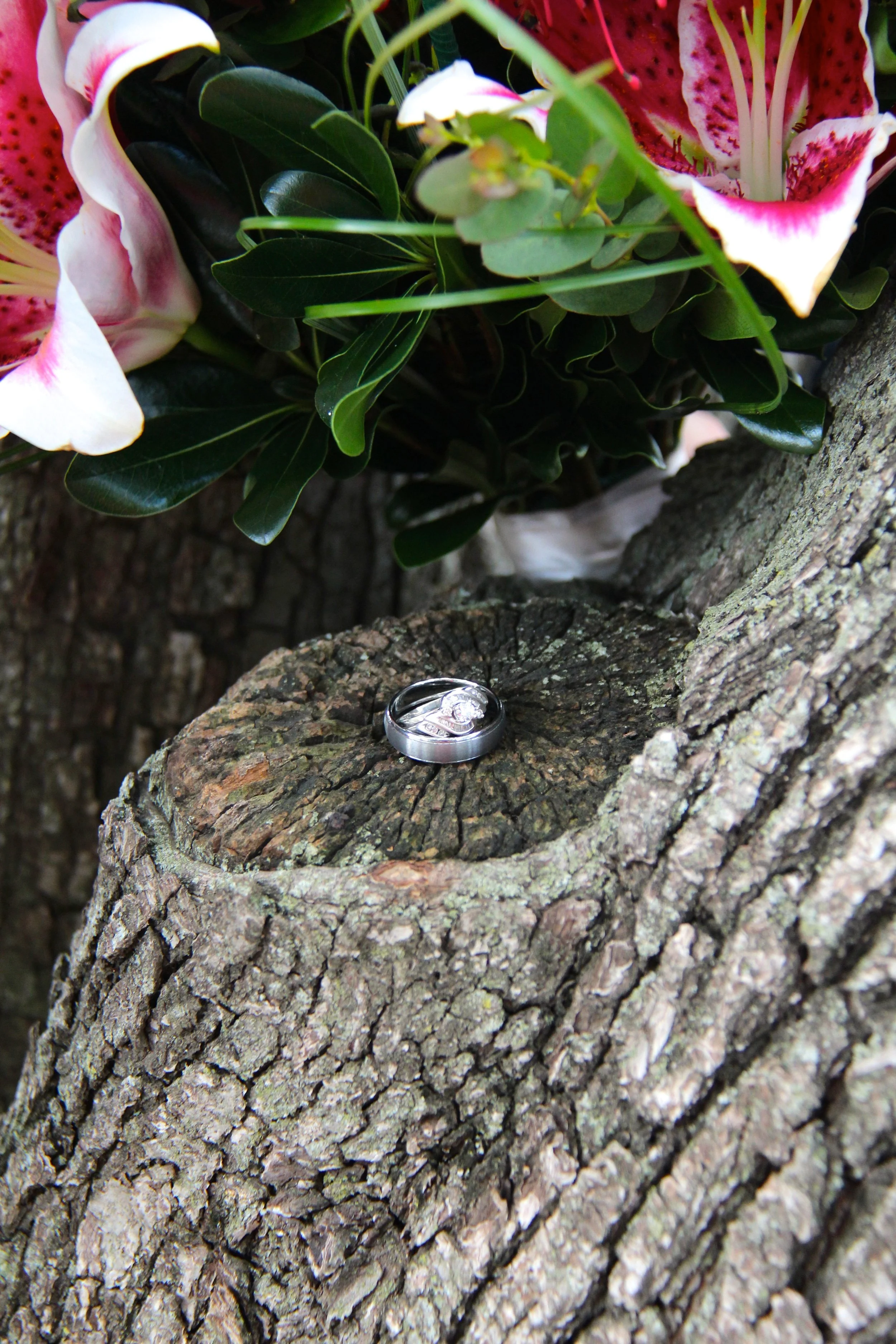 Weddings-9.JPG