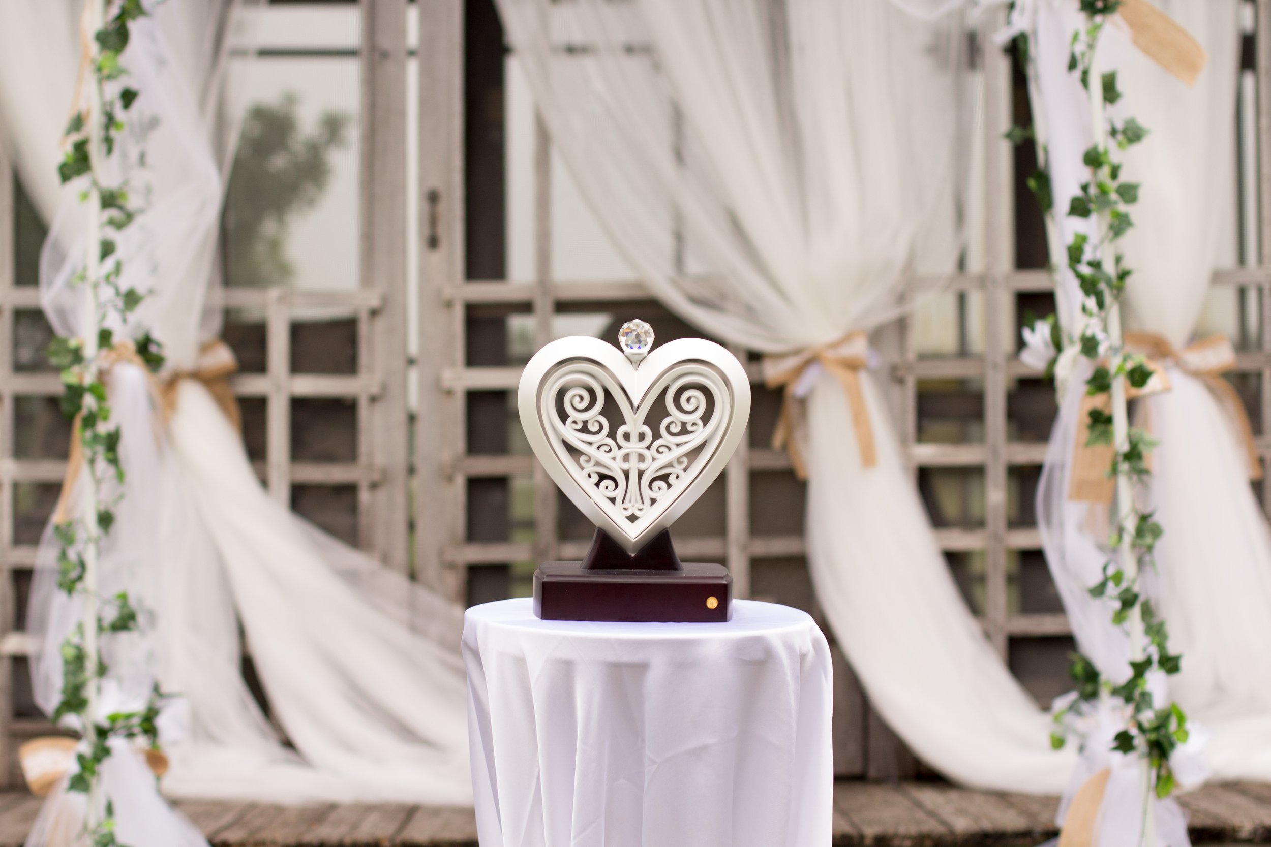 Weddings-97.JPG