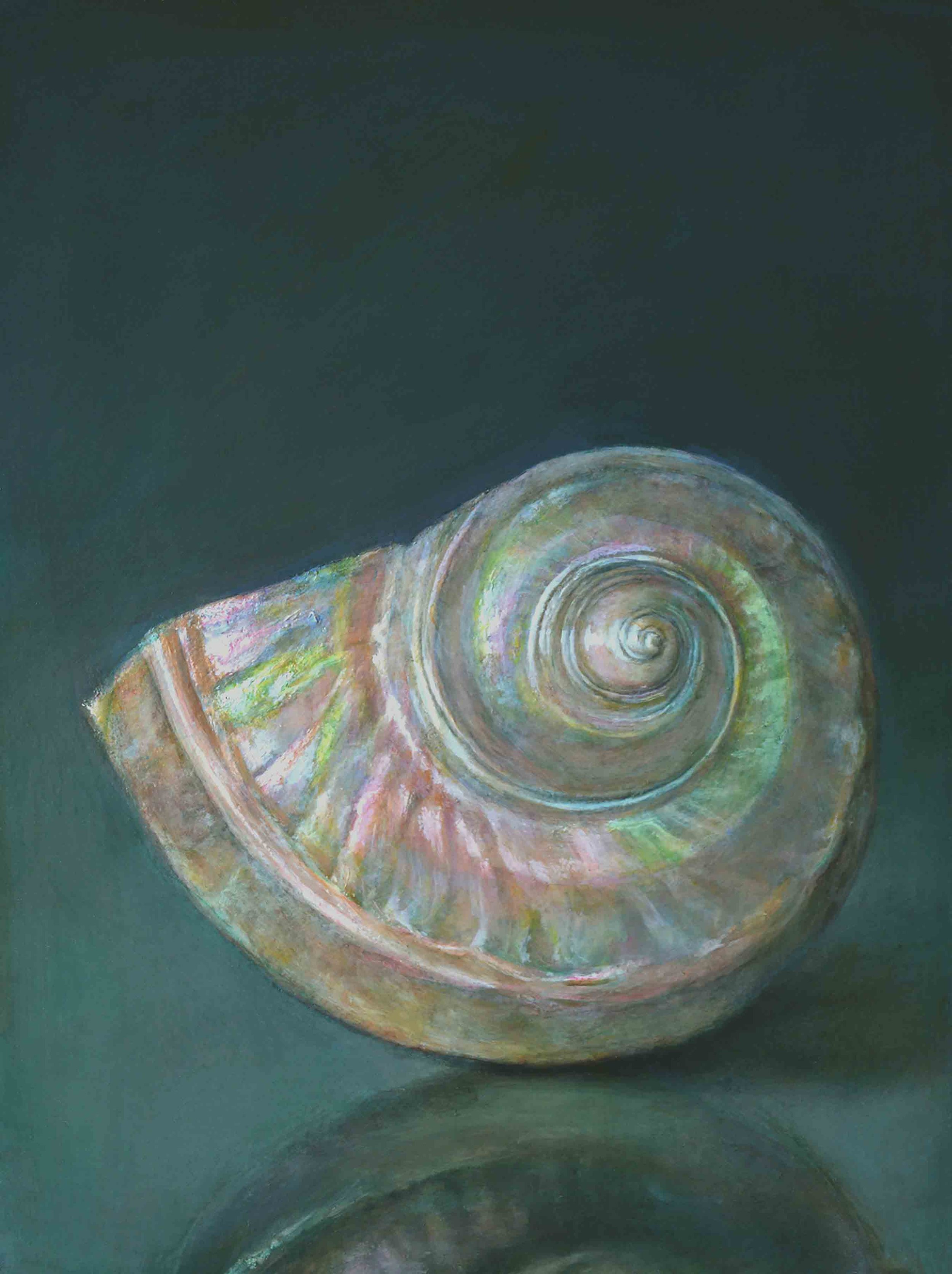 Mother-of-Pearl shell