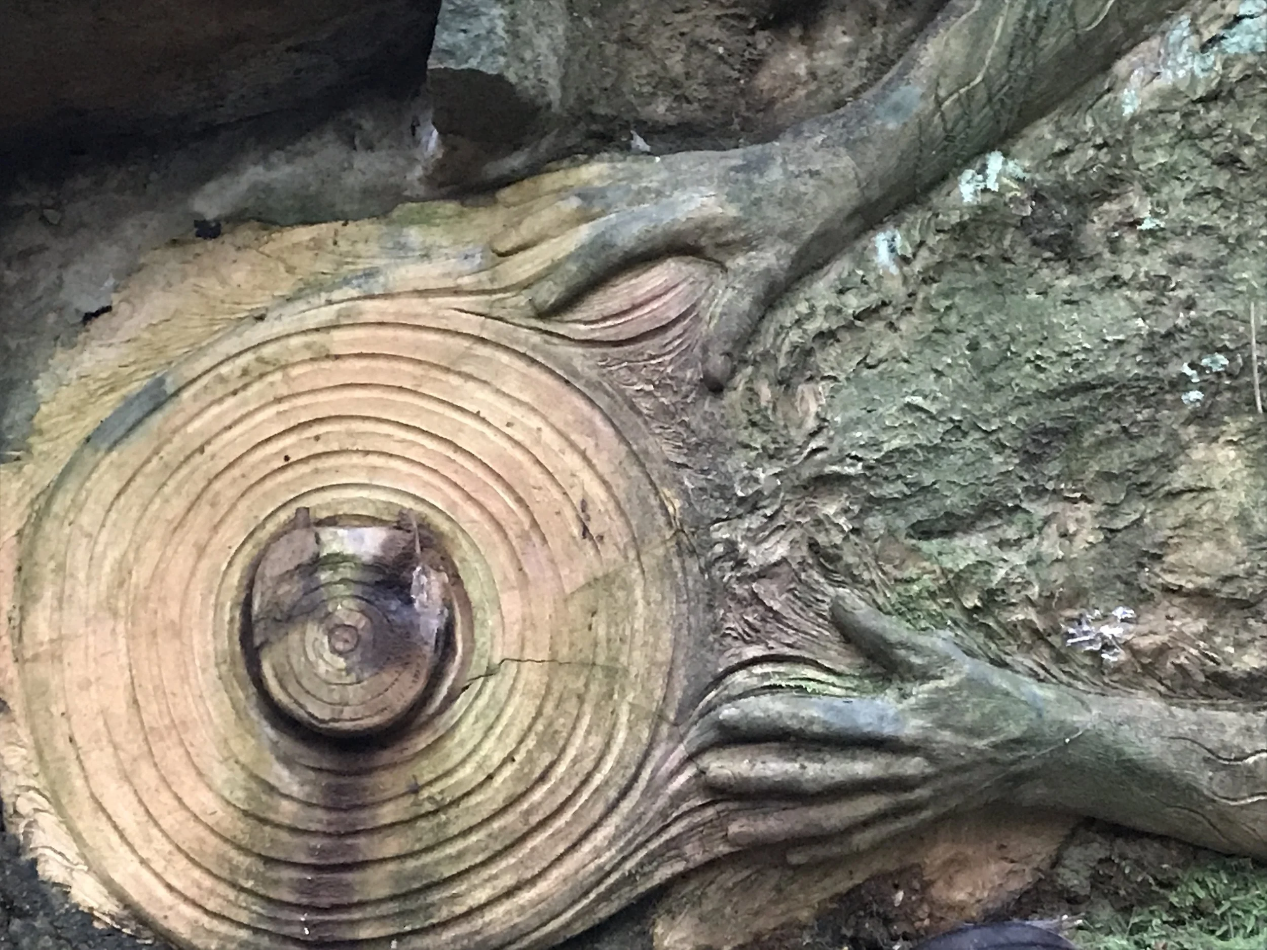 William Ricketts Sanctuary Vic - Photo taken by Margaret Hepworth