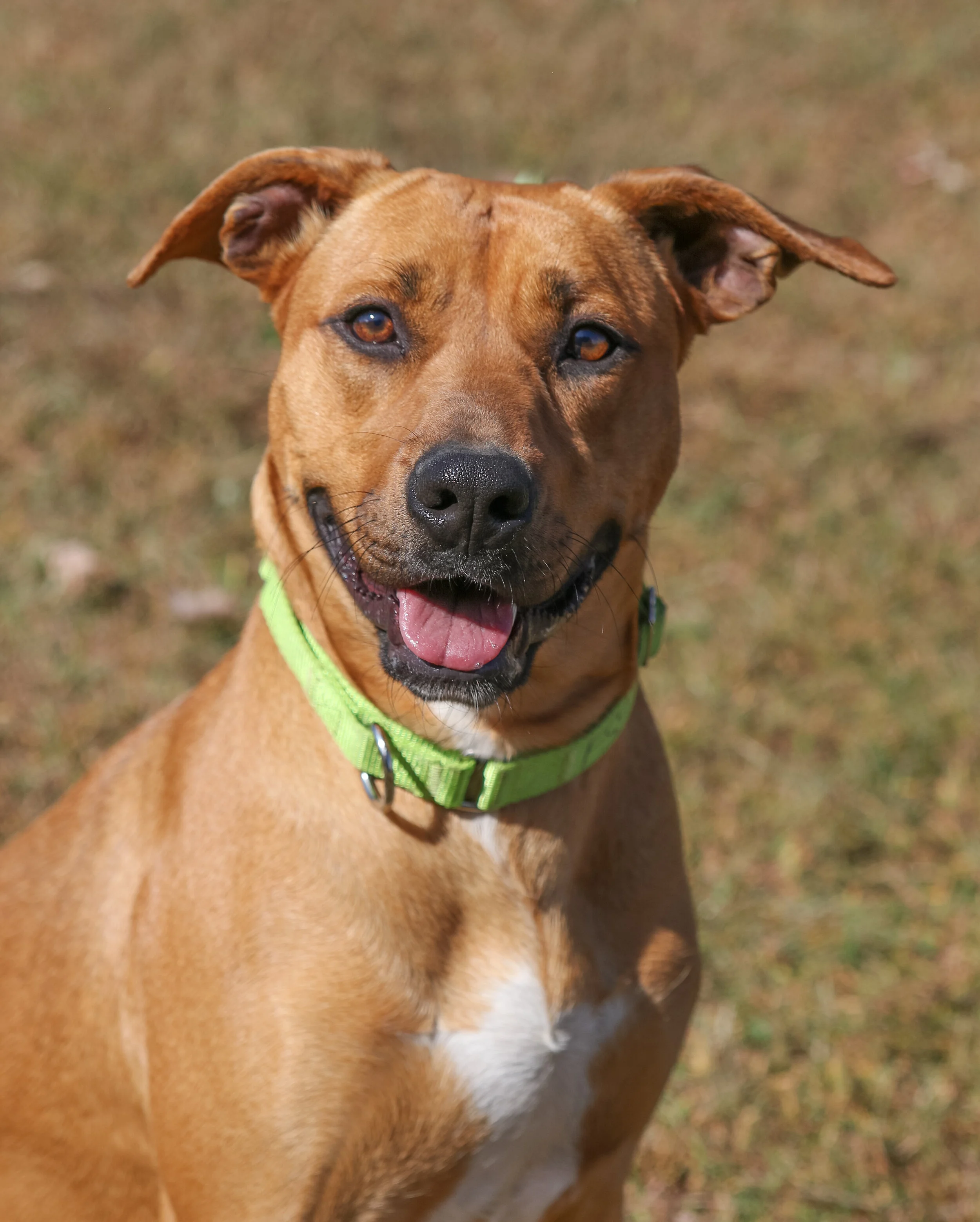 Xena 10.12.jpg