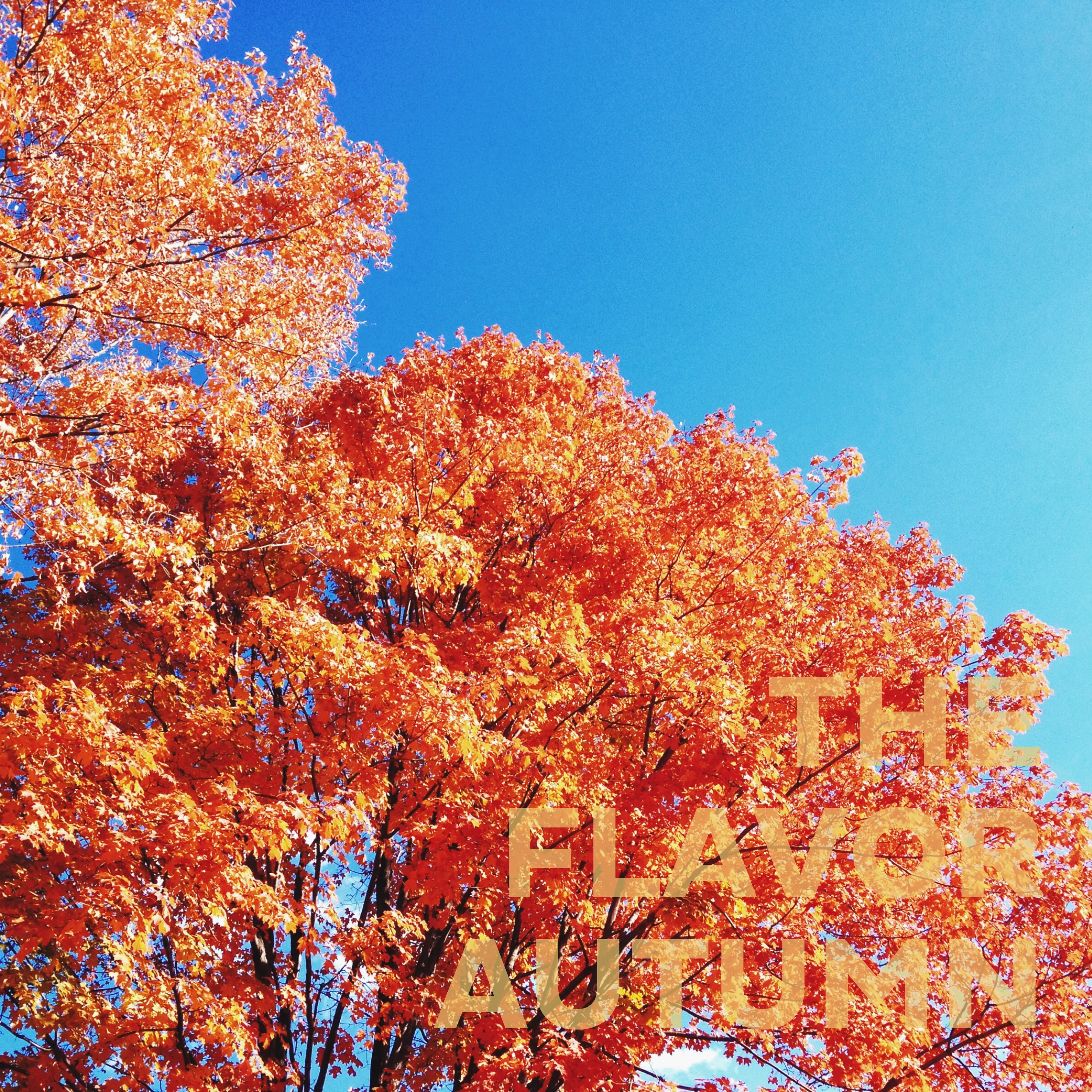 TheFlavorOrange_AlbumCover.jpg