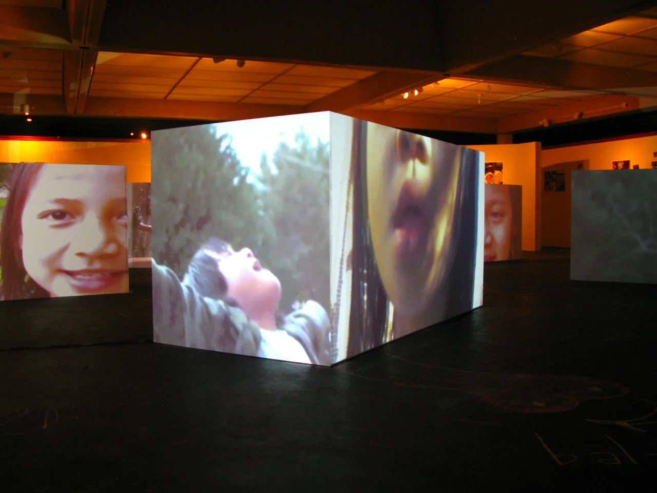 Dream Acts (exhibition)