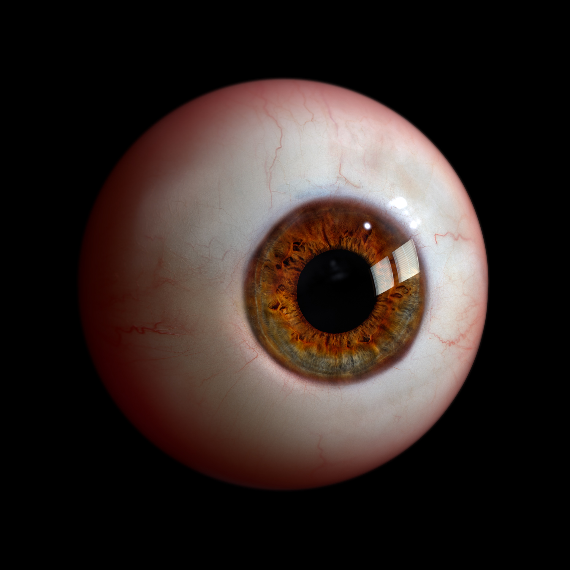 Eyeball_dof.jpg