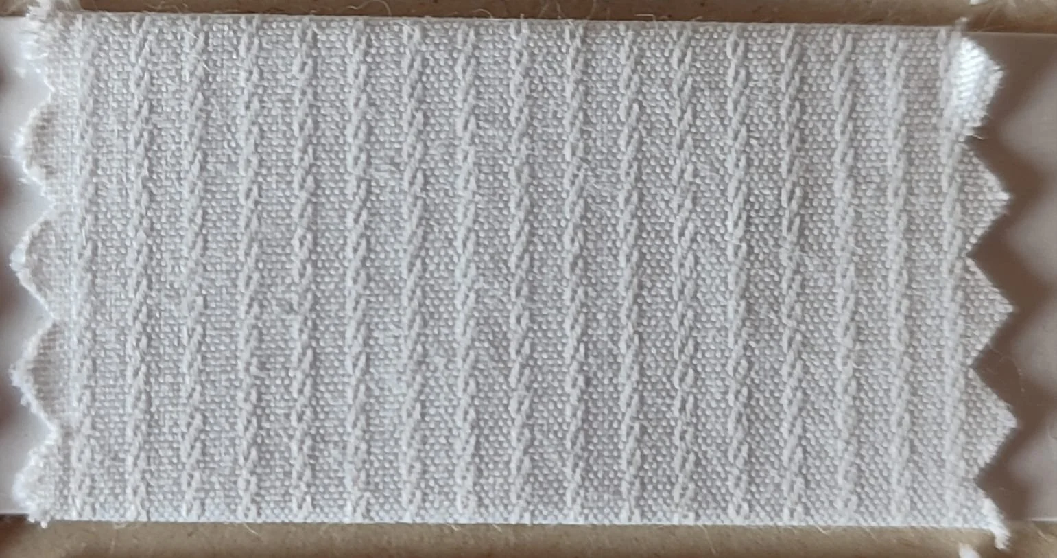 Cooptenjo Camisas 2.jpeg