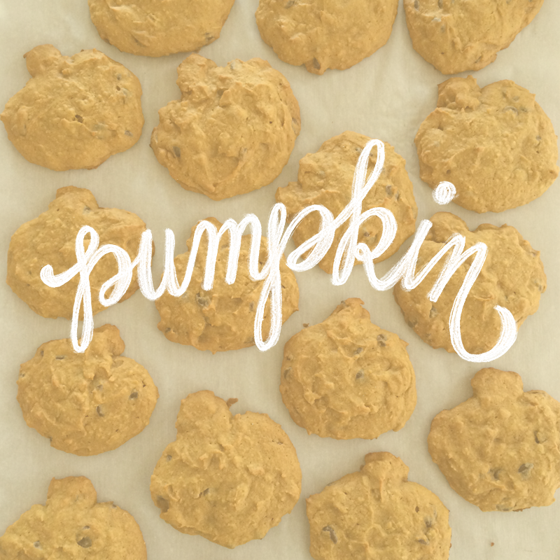 09.28.14 Baked up a pumpkin patch today.