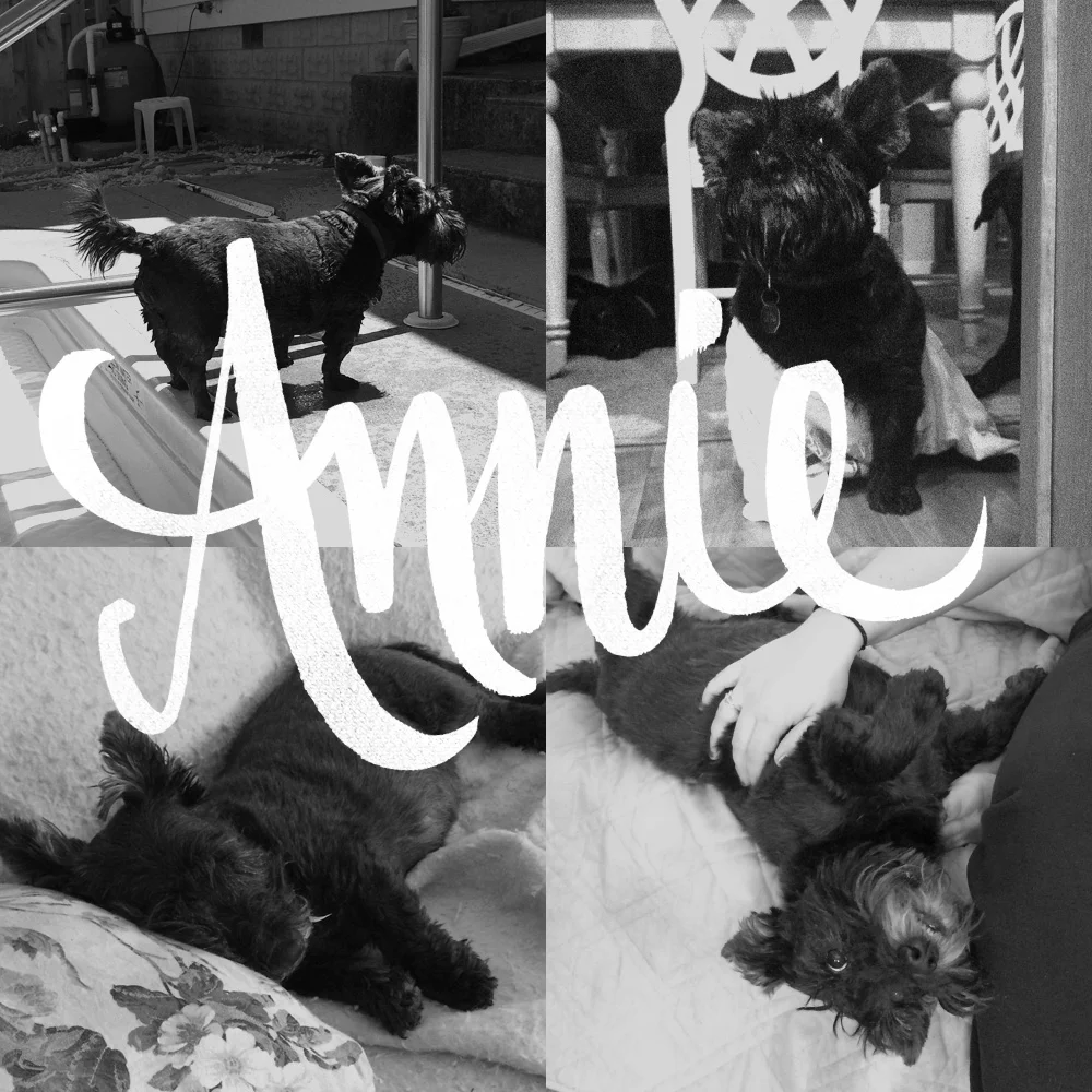 12.14.14 You were quite the little thing with such a big personality. You will forever be a part of us, Annie bell . #restinpeace 