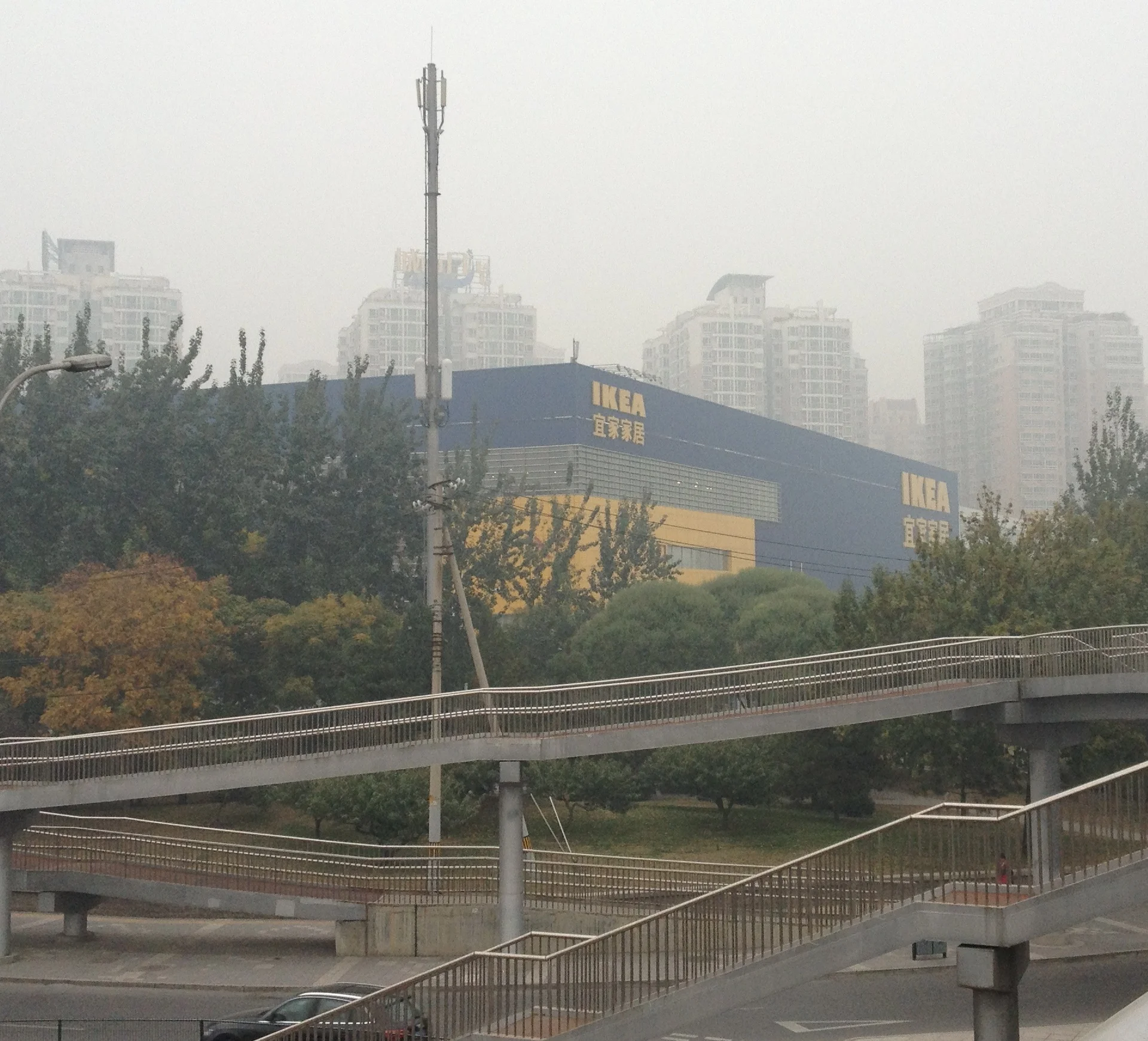 IMG_1714_cropped.jpg
