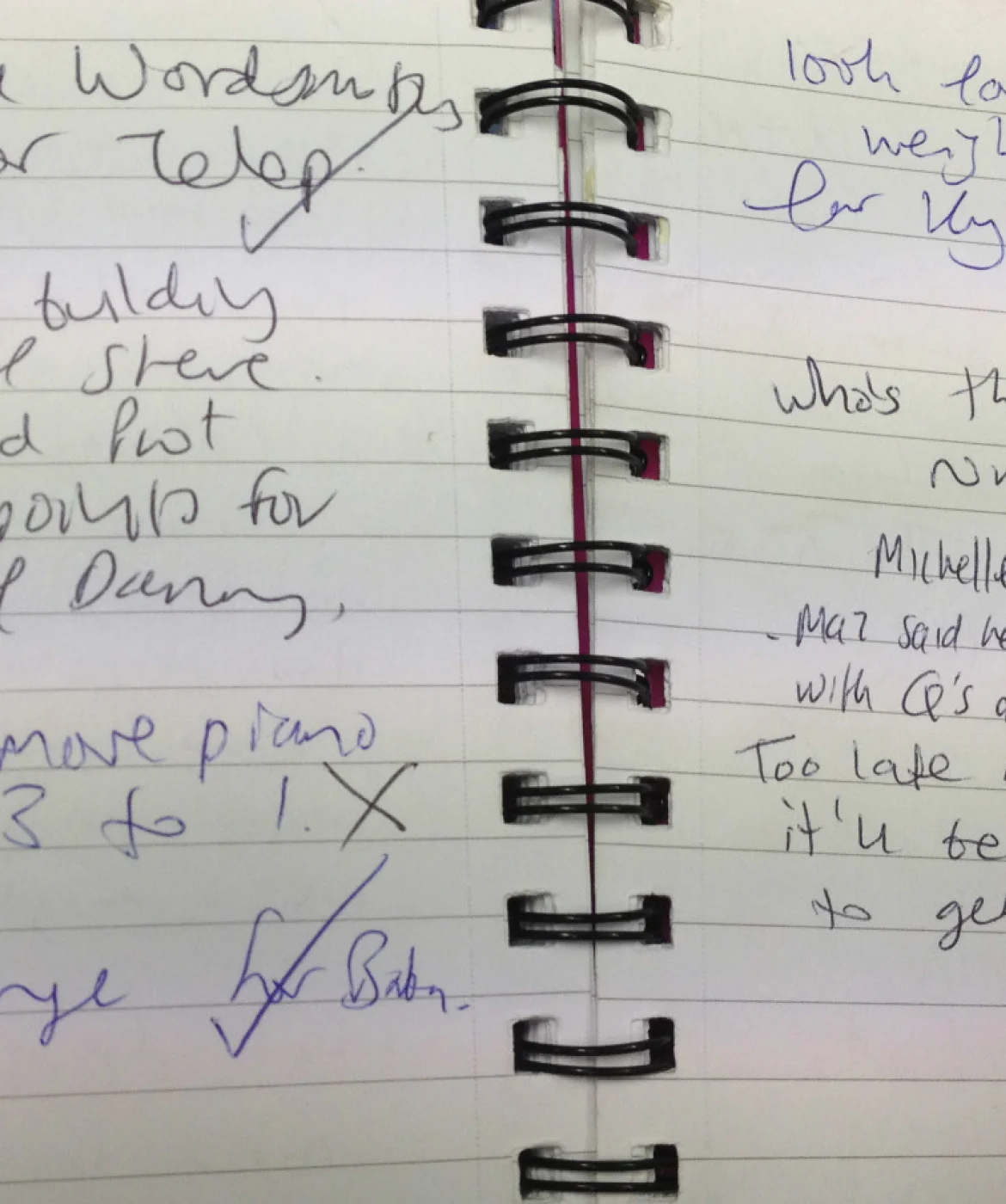 Diaries