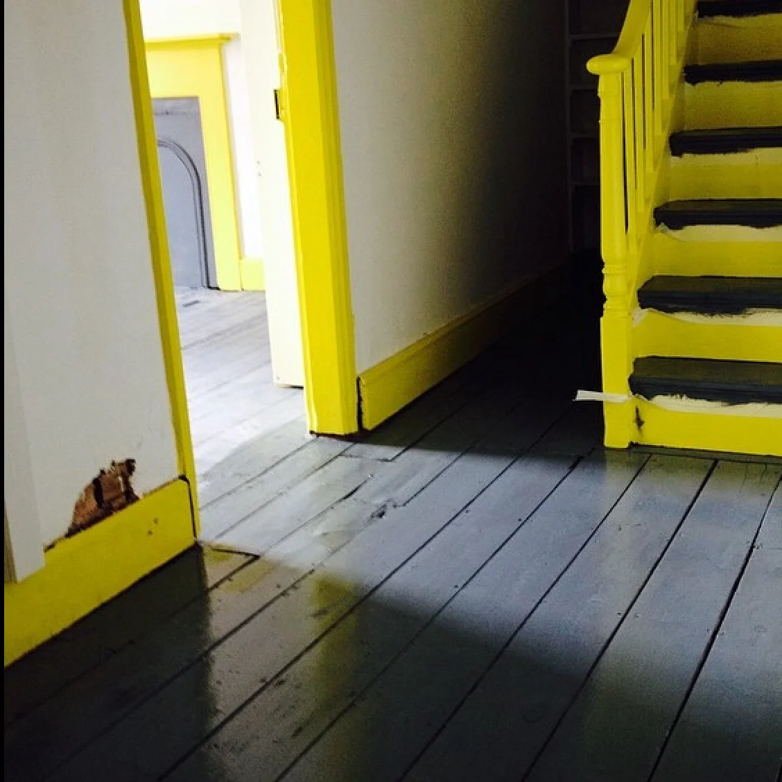 yellows and greys - with holes to patch, and edges to neaten