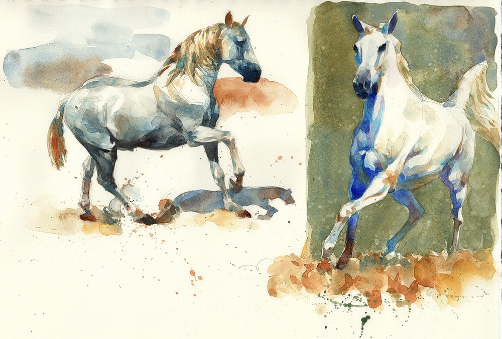 white horse watercolor  (8).jpg