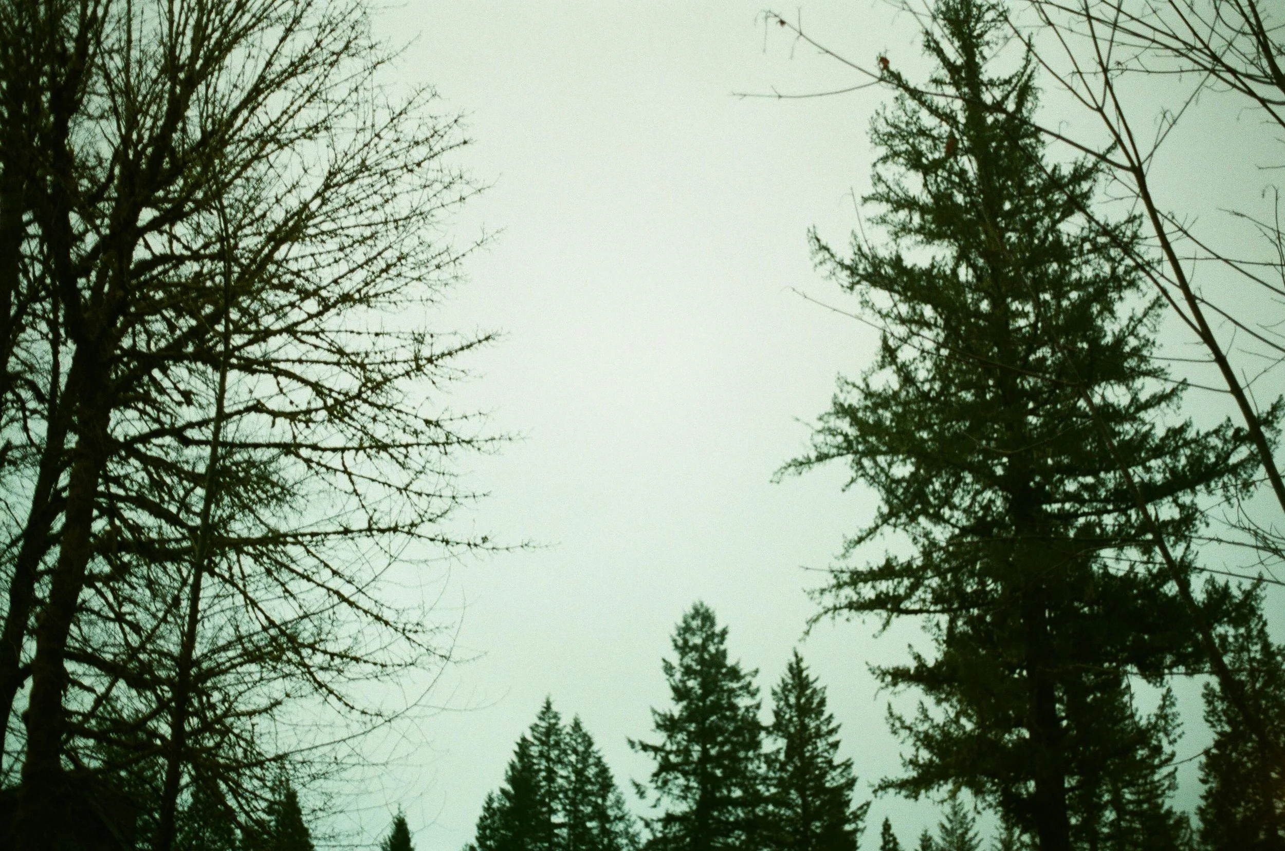 Spring 2018 - Road to Oregon