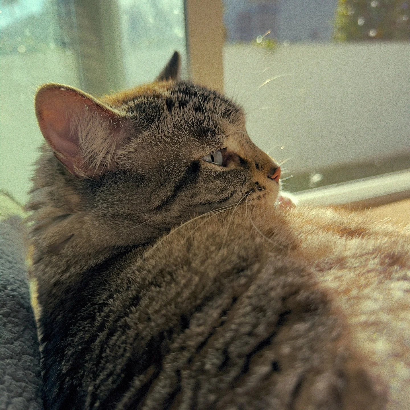 Loxie shot on my iPhone