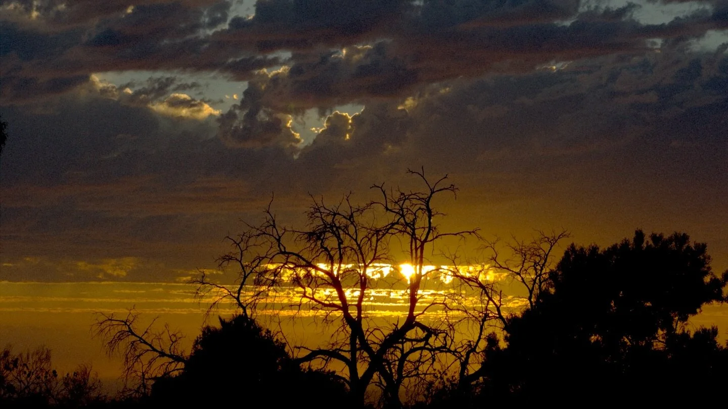 Working on a new app that lets you take filmic photos on your iPhone by bypassing apples default processing and applying my own image pipeline.