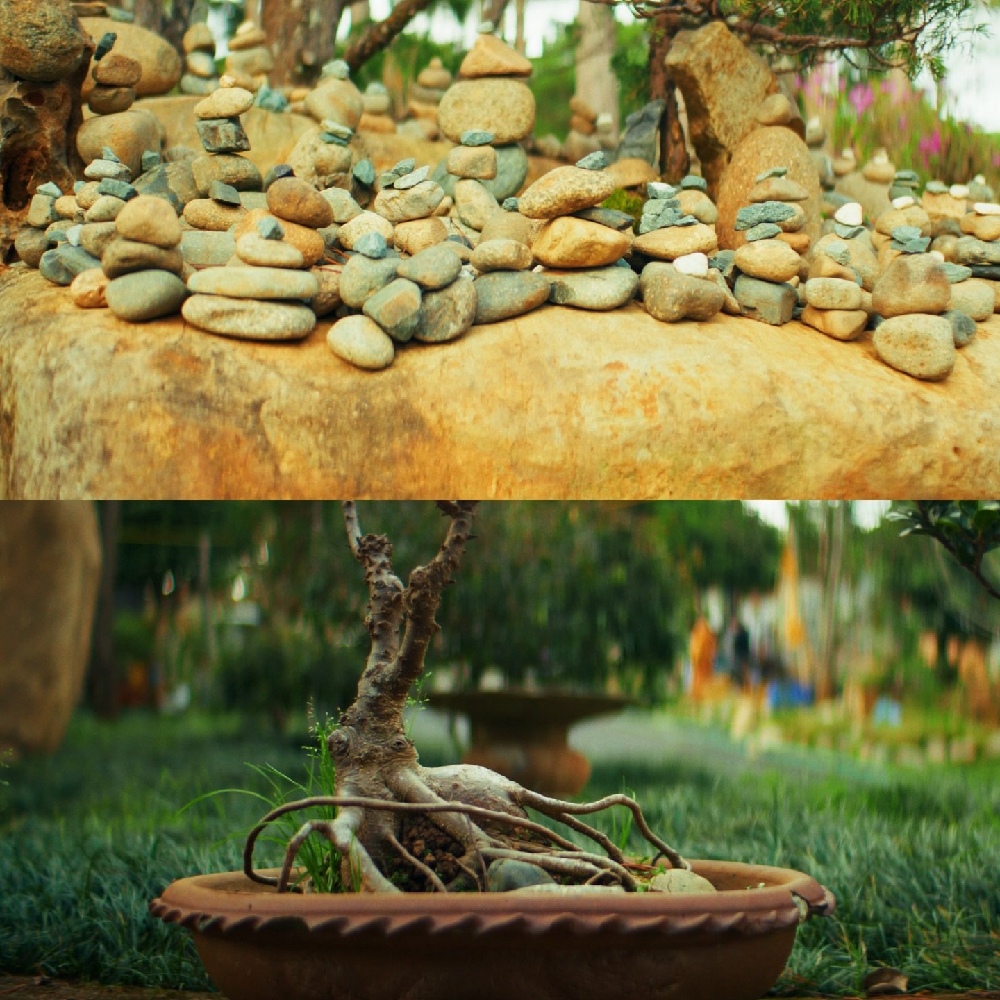 Canon R5C with Atlas Orion 40mm