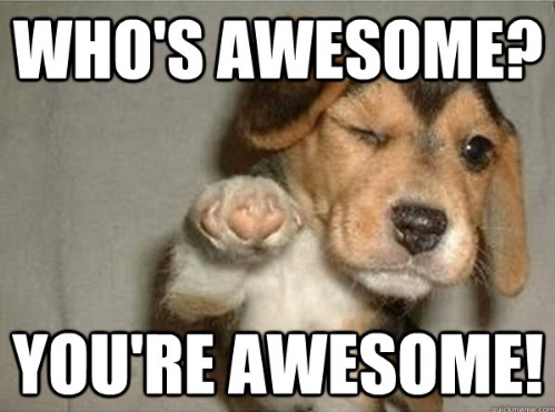 Amplify_thanks.png