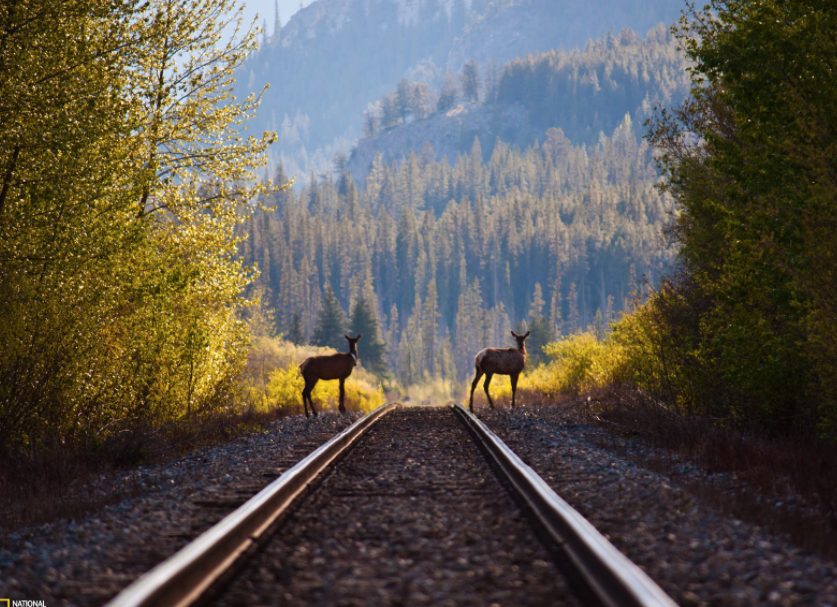 Screen Shot 2018-02-20 at 12.29.42 PM.png