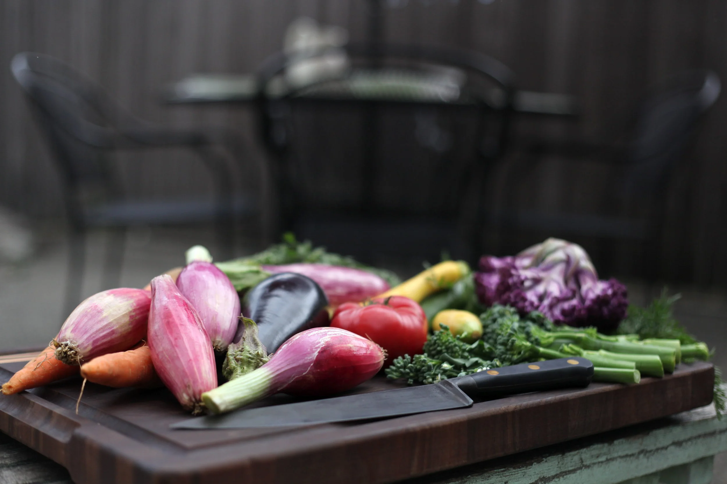 Eaters are turning to plant-based meals—for health reasons, but also for the variety of textures and flavors they add to a meal.