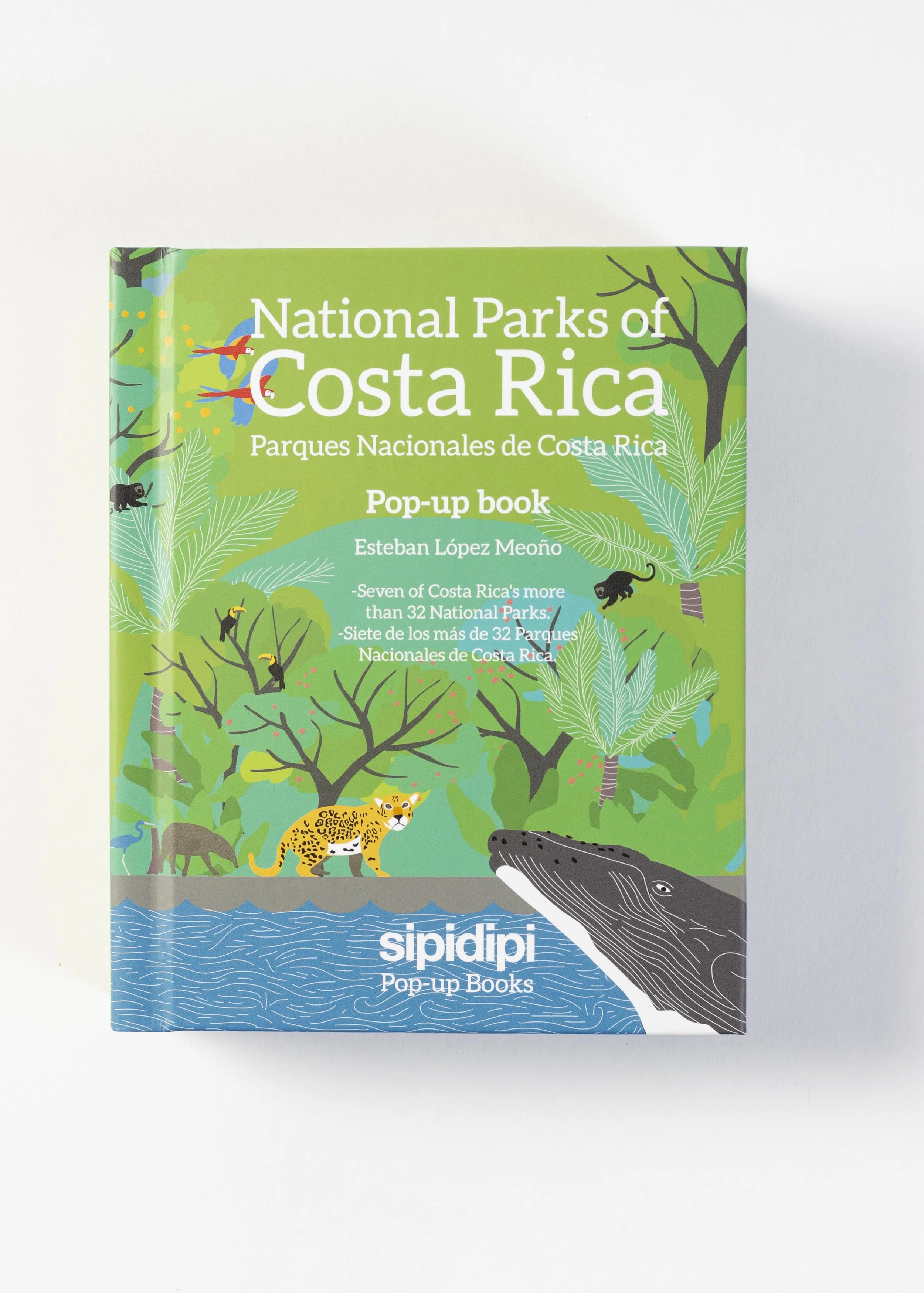  Creamos fotografías estratégicas que resaltan los detalles, la calidad y el valor de tus productos para que tus clientes confíen y compren. 