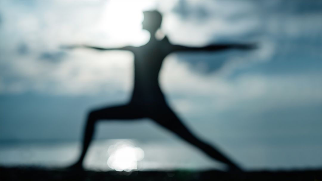 Functional_Movement_1080_608_80_int.jpg