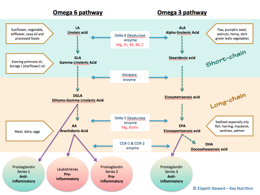 Omega pathways and their cofactors