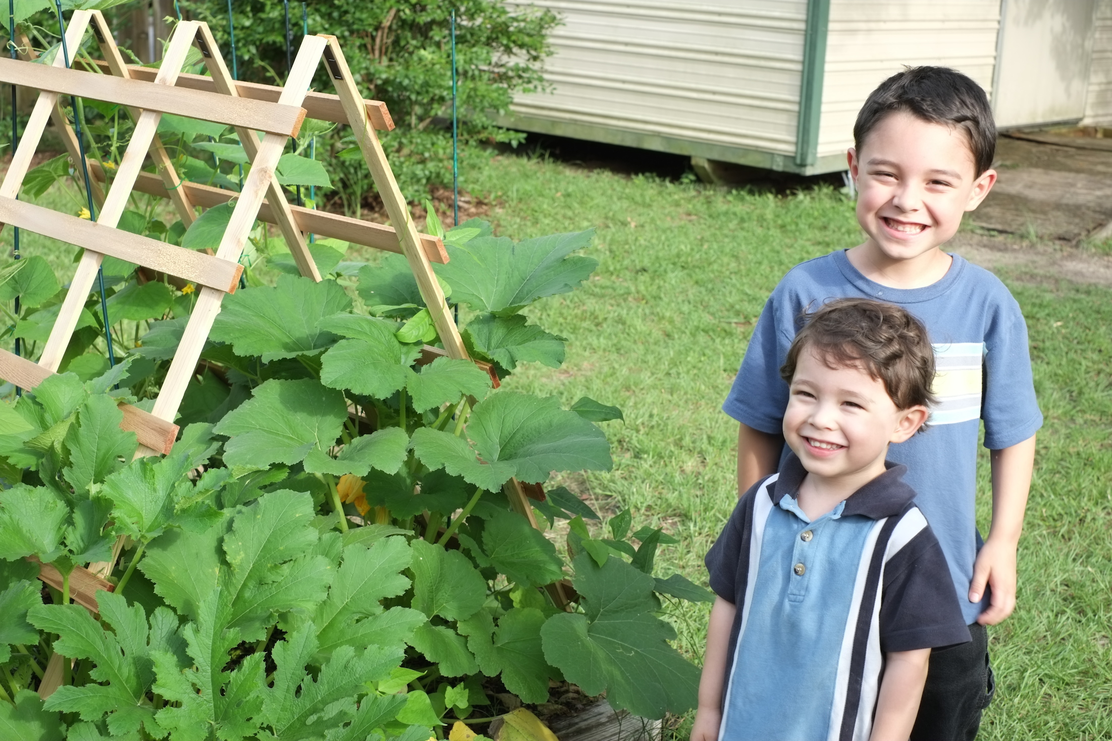 DSCF4036 - sweet smiles Abraham Noah organic heirloom garden pottager food copy small.JPG