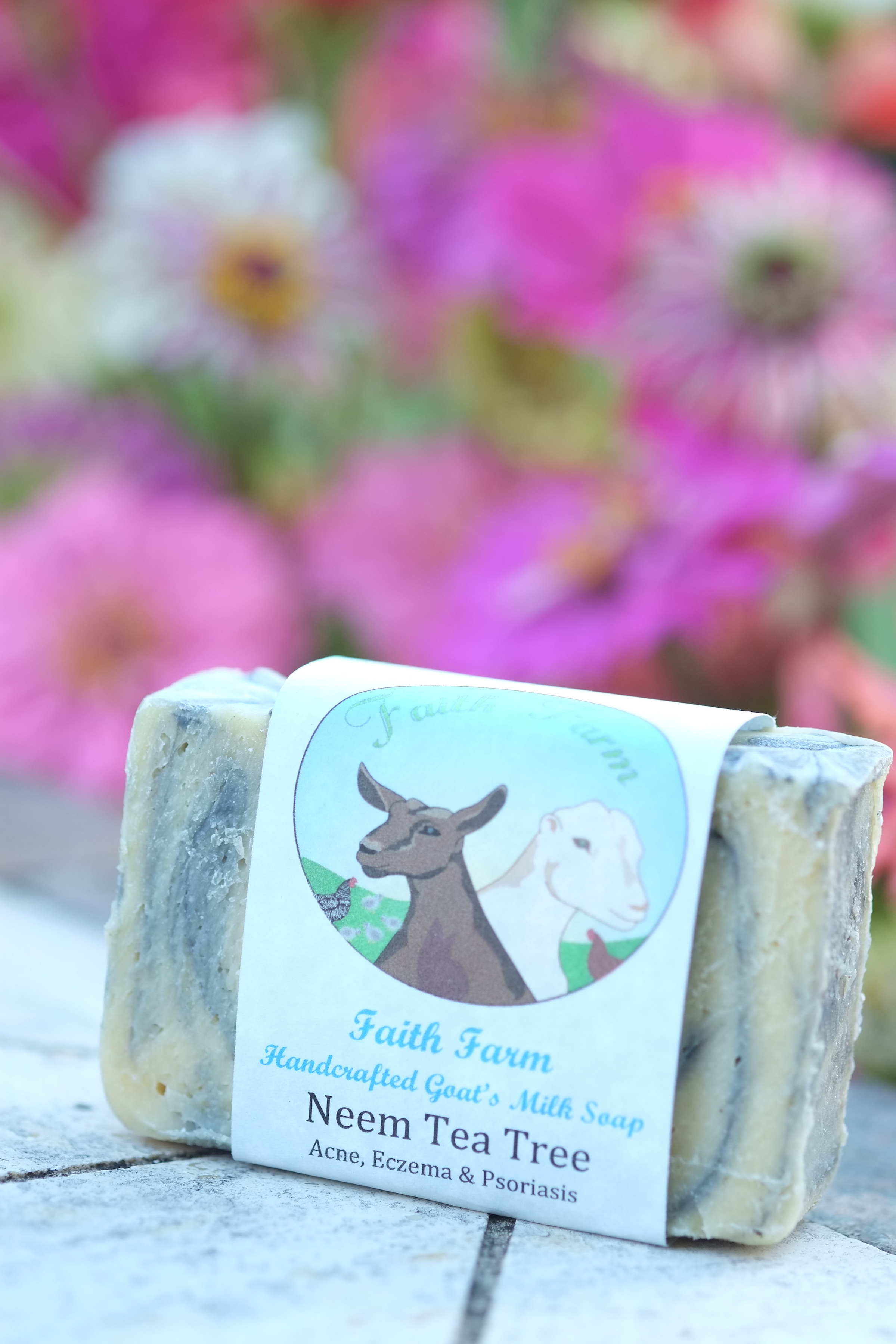 Goat Milk Soap Bar - Friendly Goods