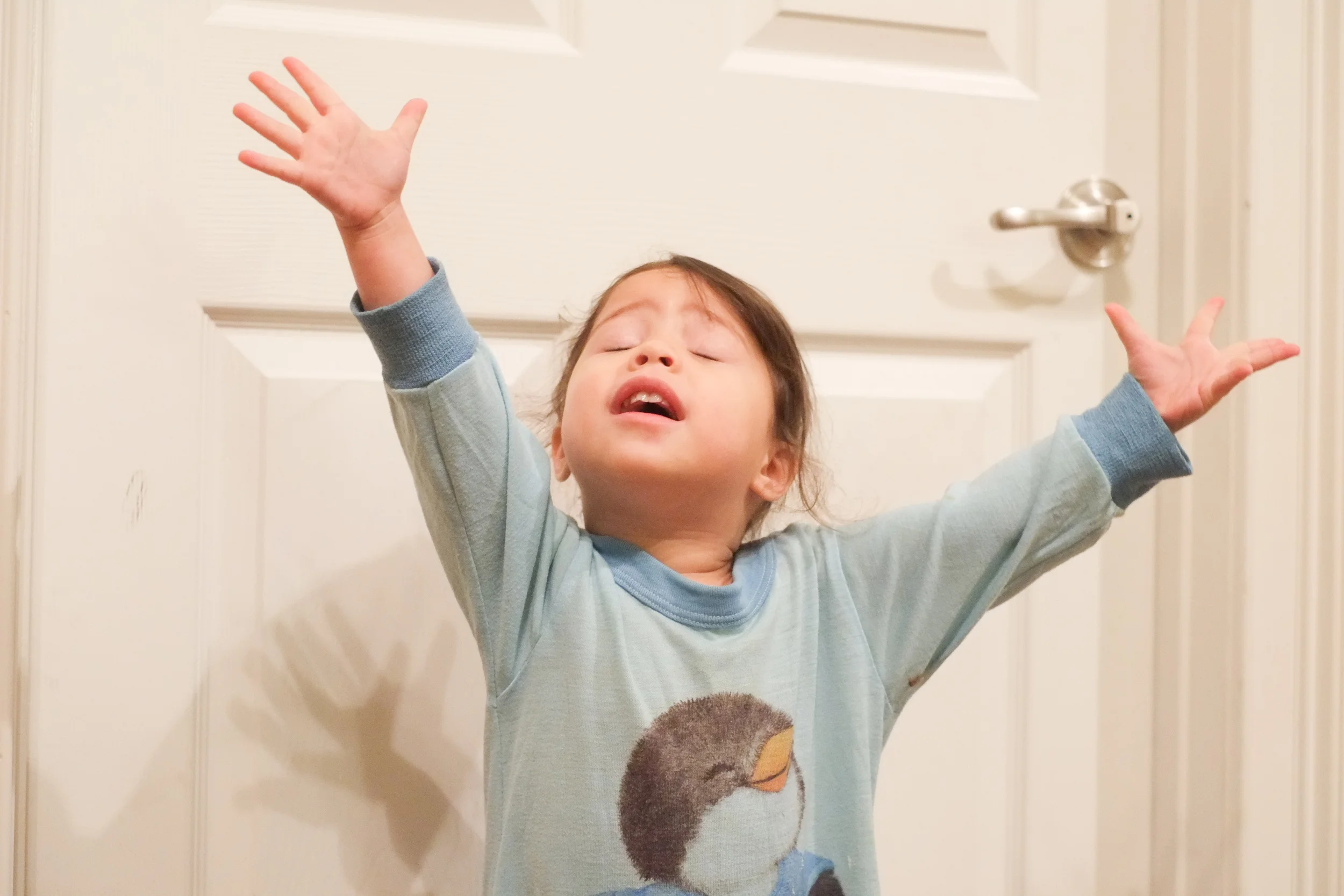 The Story Behind 2-Year-Old Shiloh Singing Amazing Grace