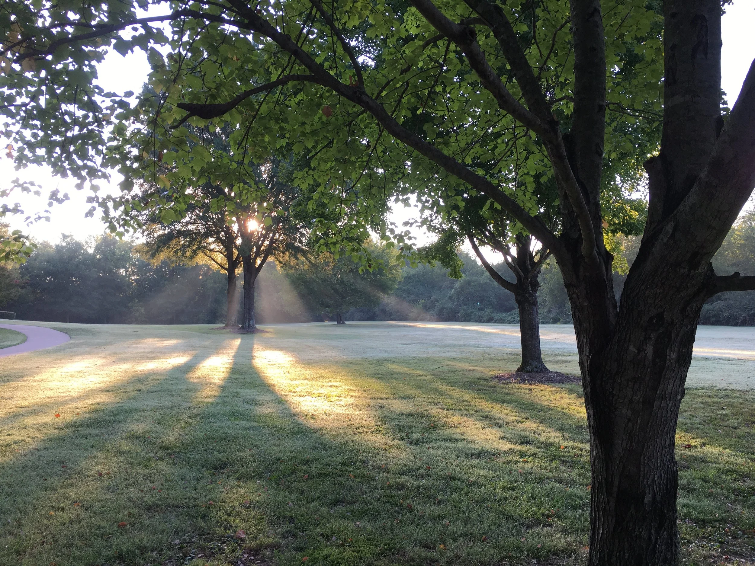 The Spirit of Thankfulness