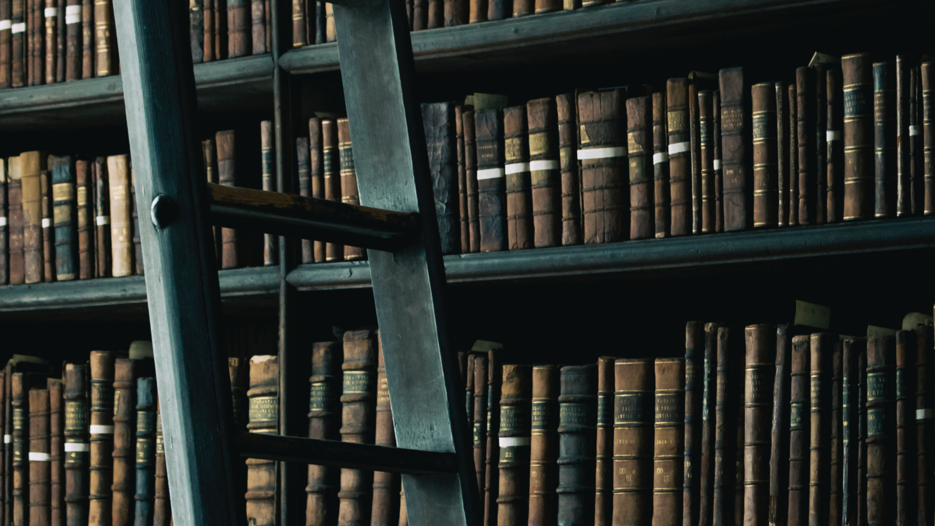 Books to Add to Your Reading List 2020