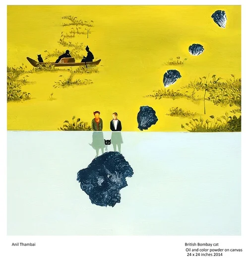 Anil Thambai  "British Bombay Cat"