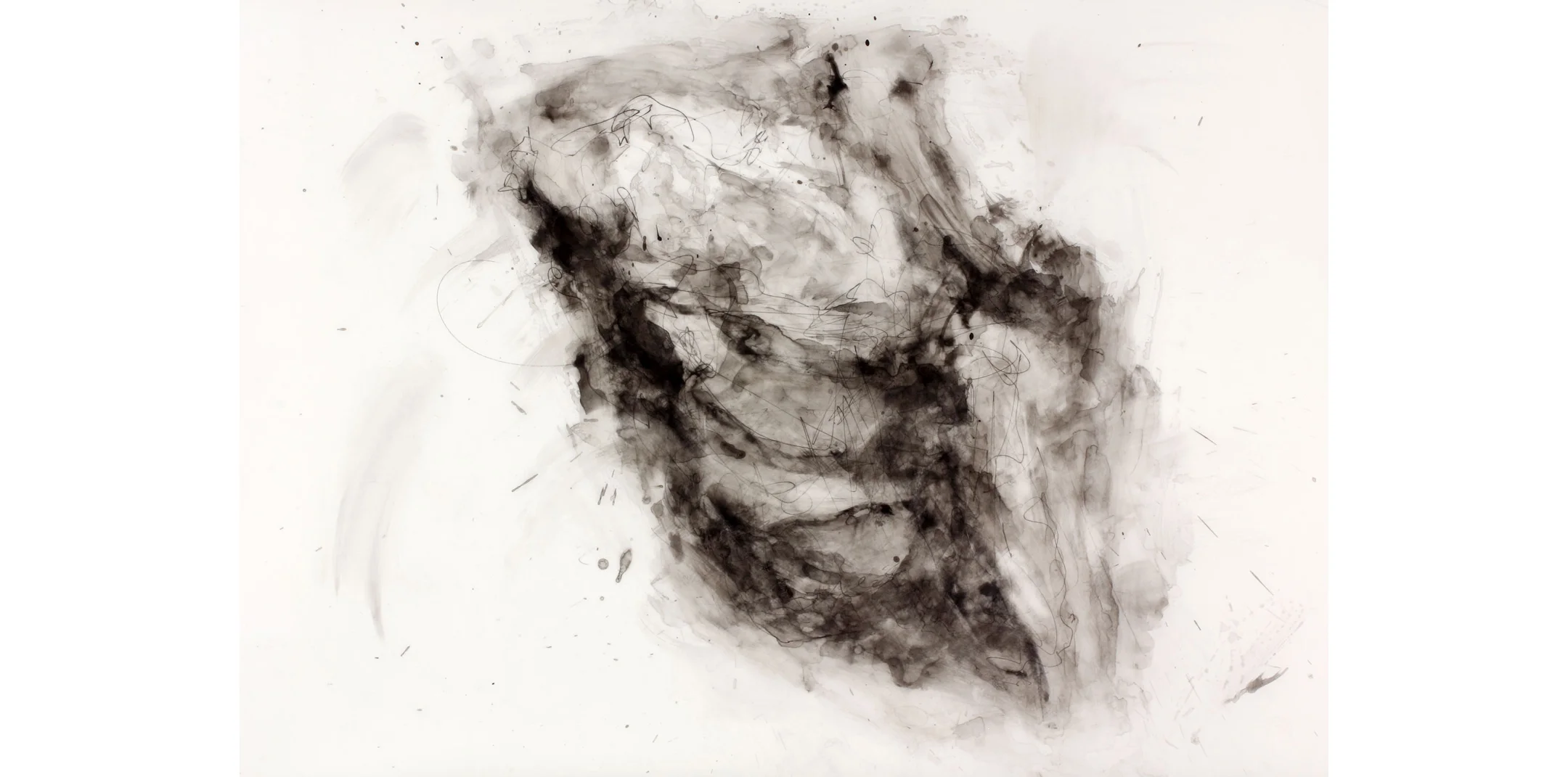 Lump of Coal 24" x 36" 2011 Pen and Ink on Drafting Film