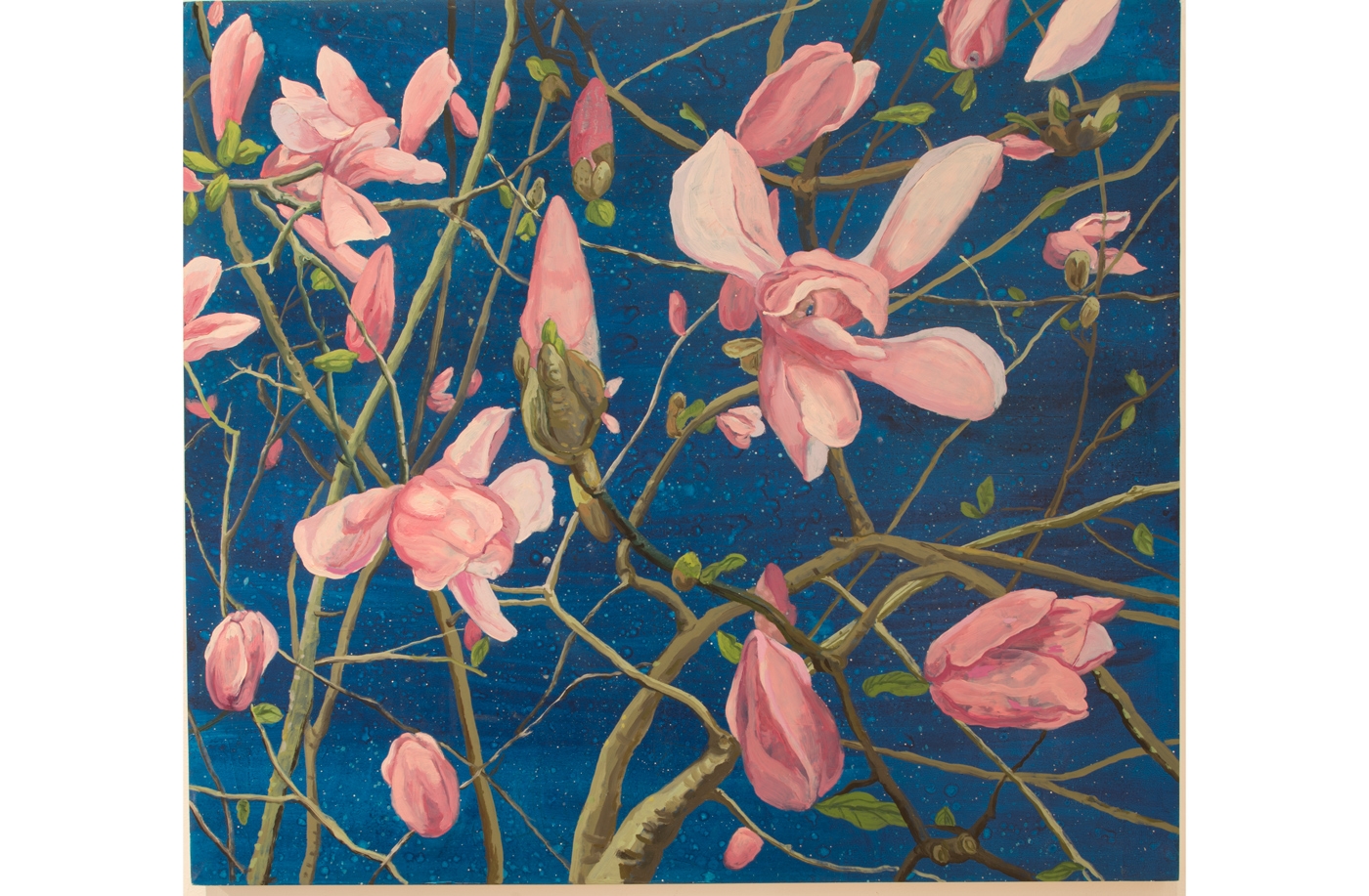 Jeffrey Whittle, Japanese Magnolia