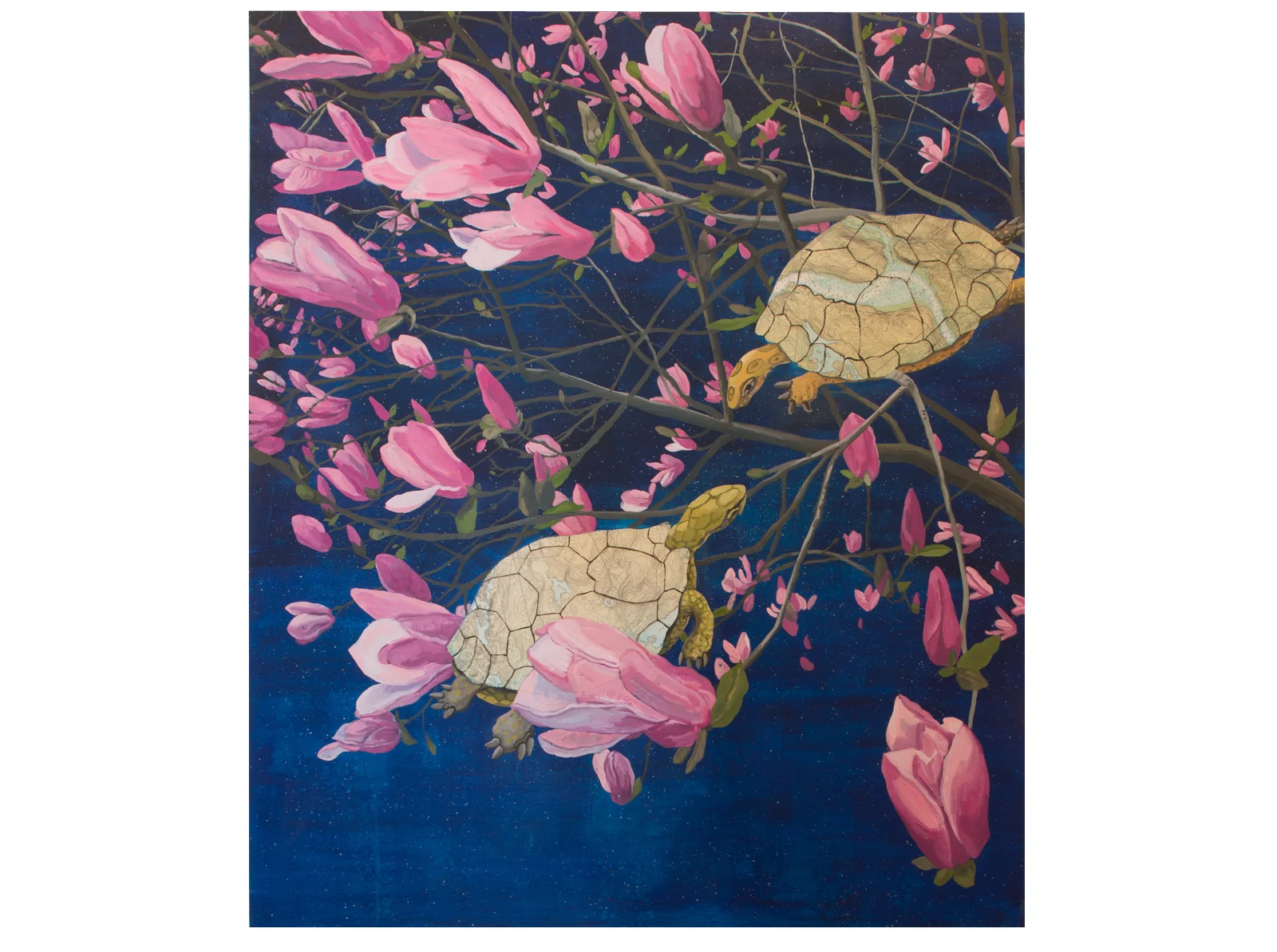 Jeffrey Whittle, Infinity Encountered