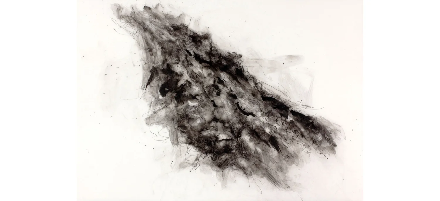 Michael K. Paxton Woods II ink on drafting film 24x36