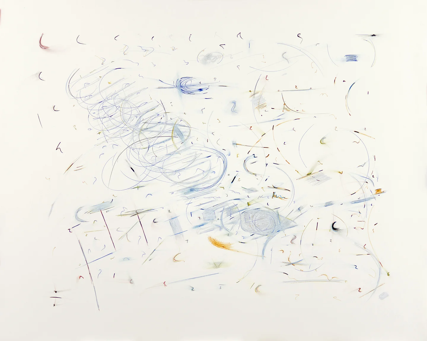 Andrew Shenker