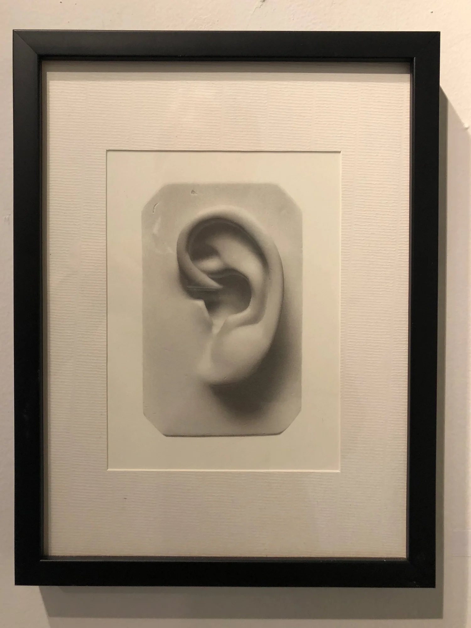 Andrews Shears Untitled(Ear) Graphite on Paper