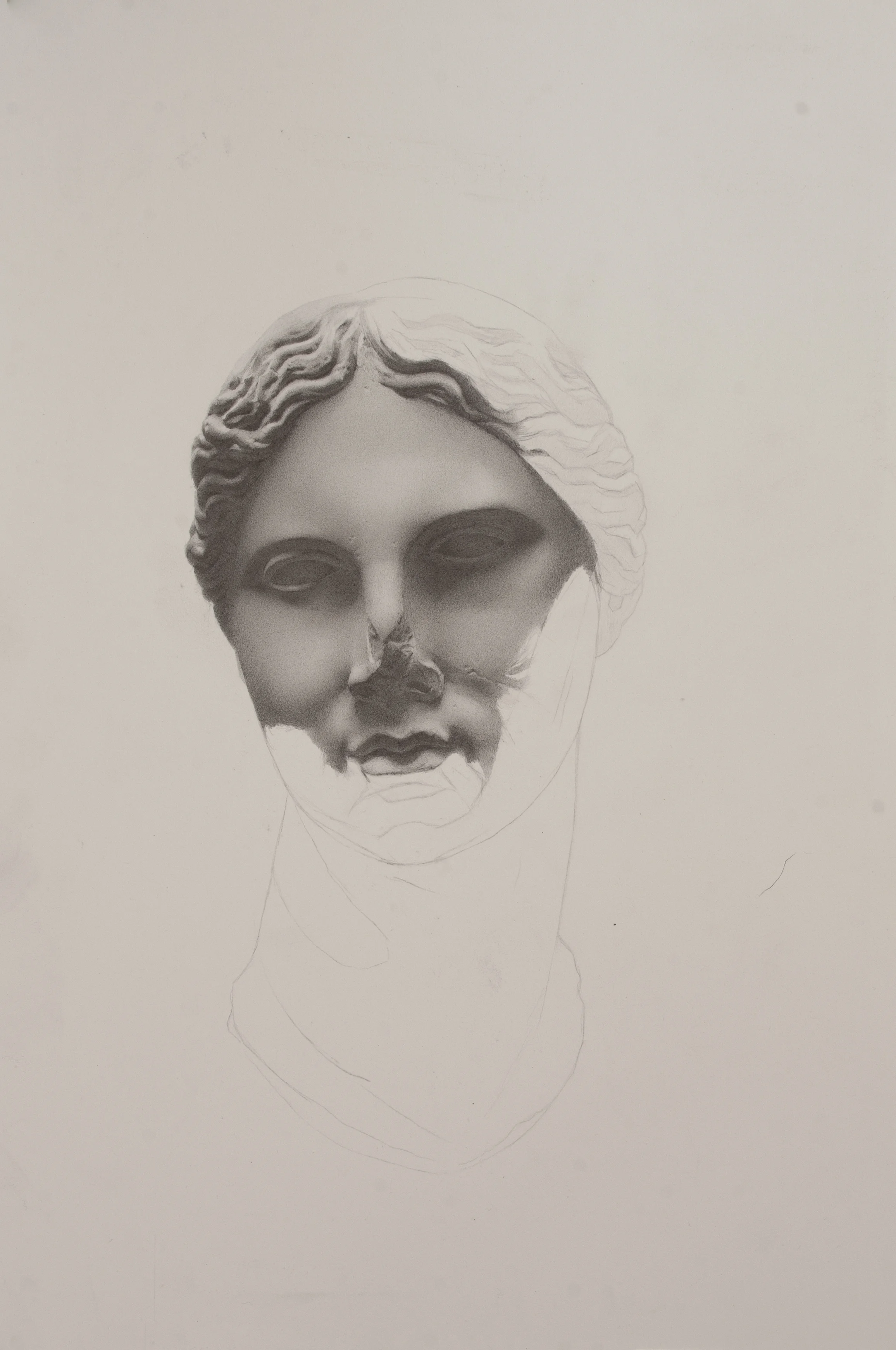 Andrew Shears Untitled (Head Cast ) graphite on paper