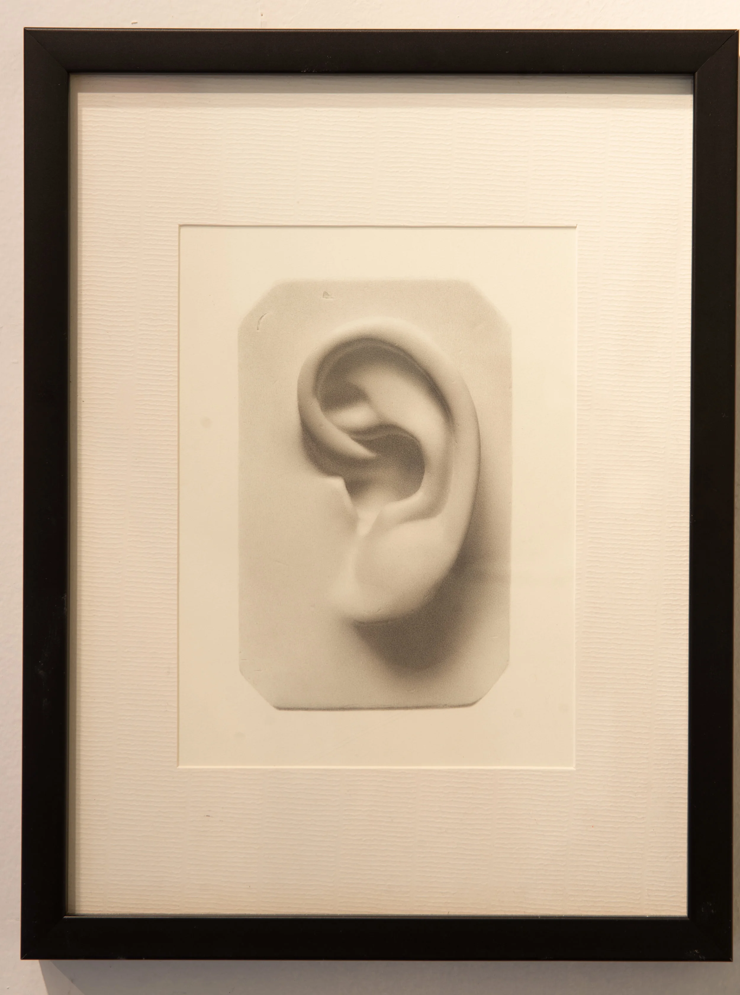 Untitled( Ear) ANDREW SHEARS graphite on paper 13x10