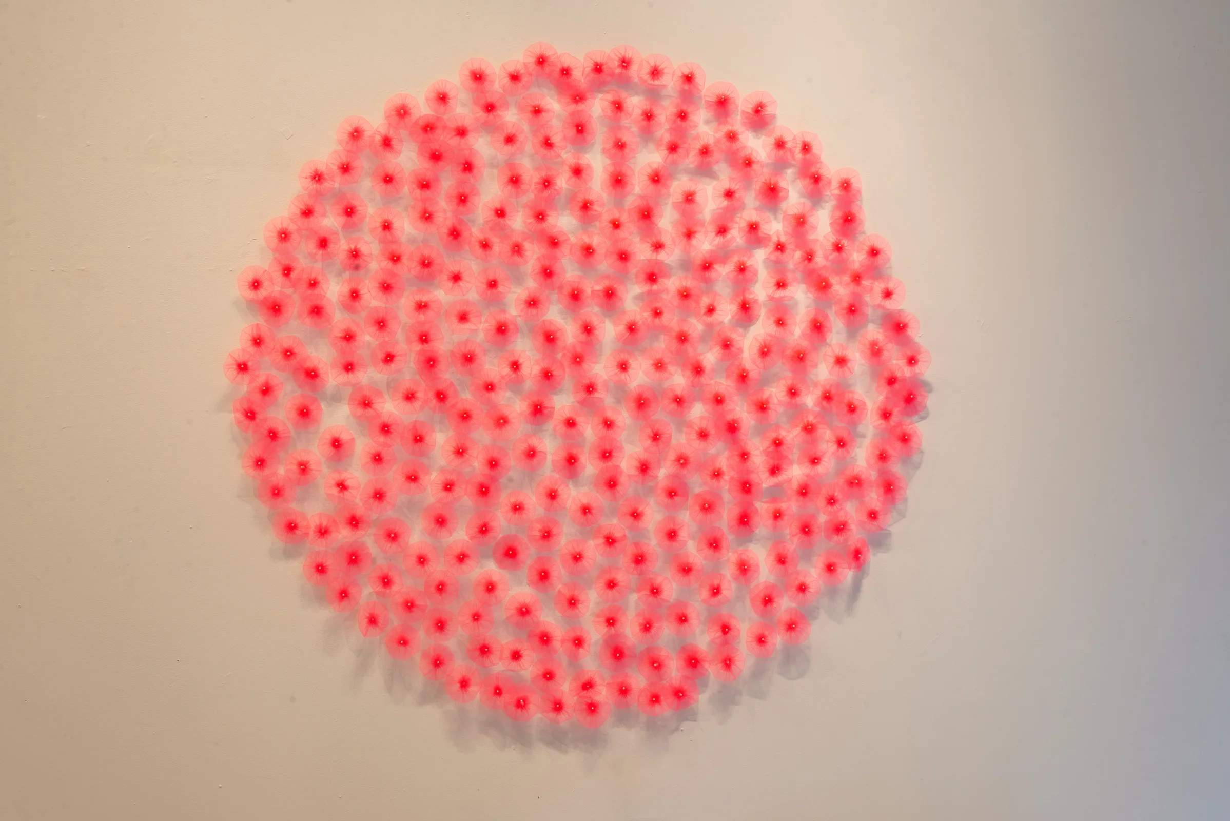 Bloom, 2016-2019 Tulle, thread and straight pins