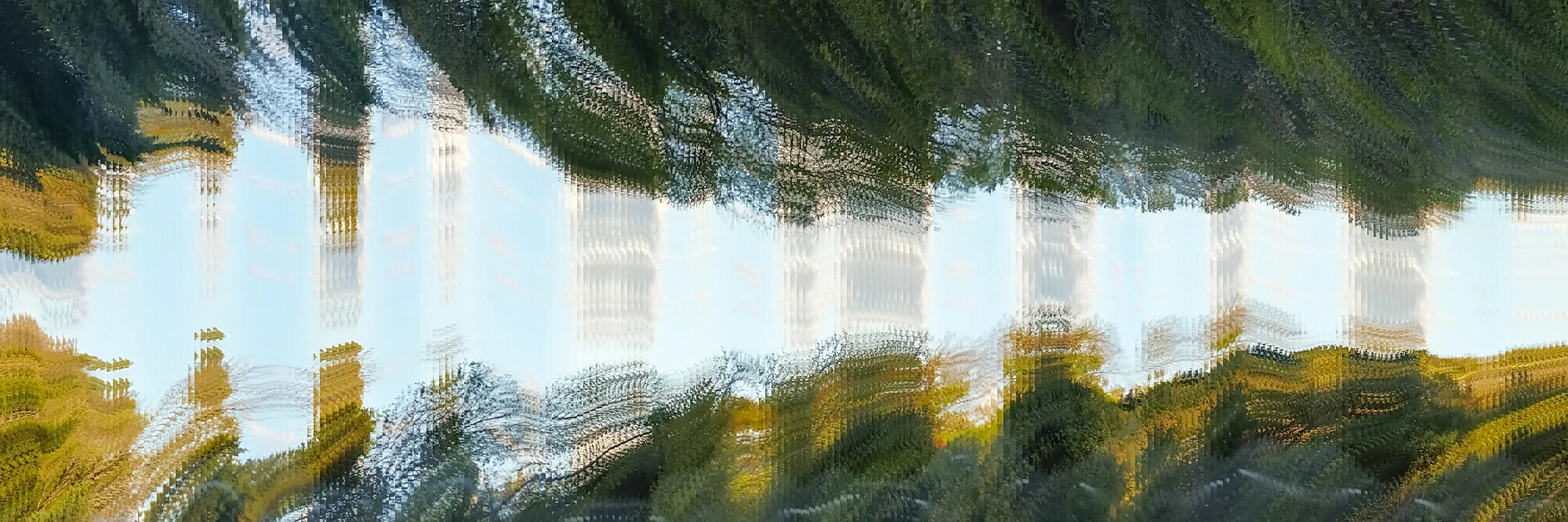 Alan Skees, American Glitch: Neo Regionalism - Car - AL/VA - I-65 - 04, 12h x 36w inches, 2019, Digital slit-scan ink jet print