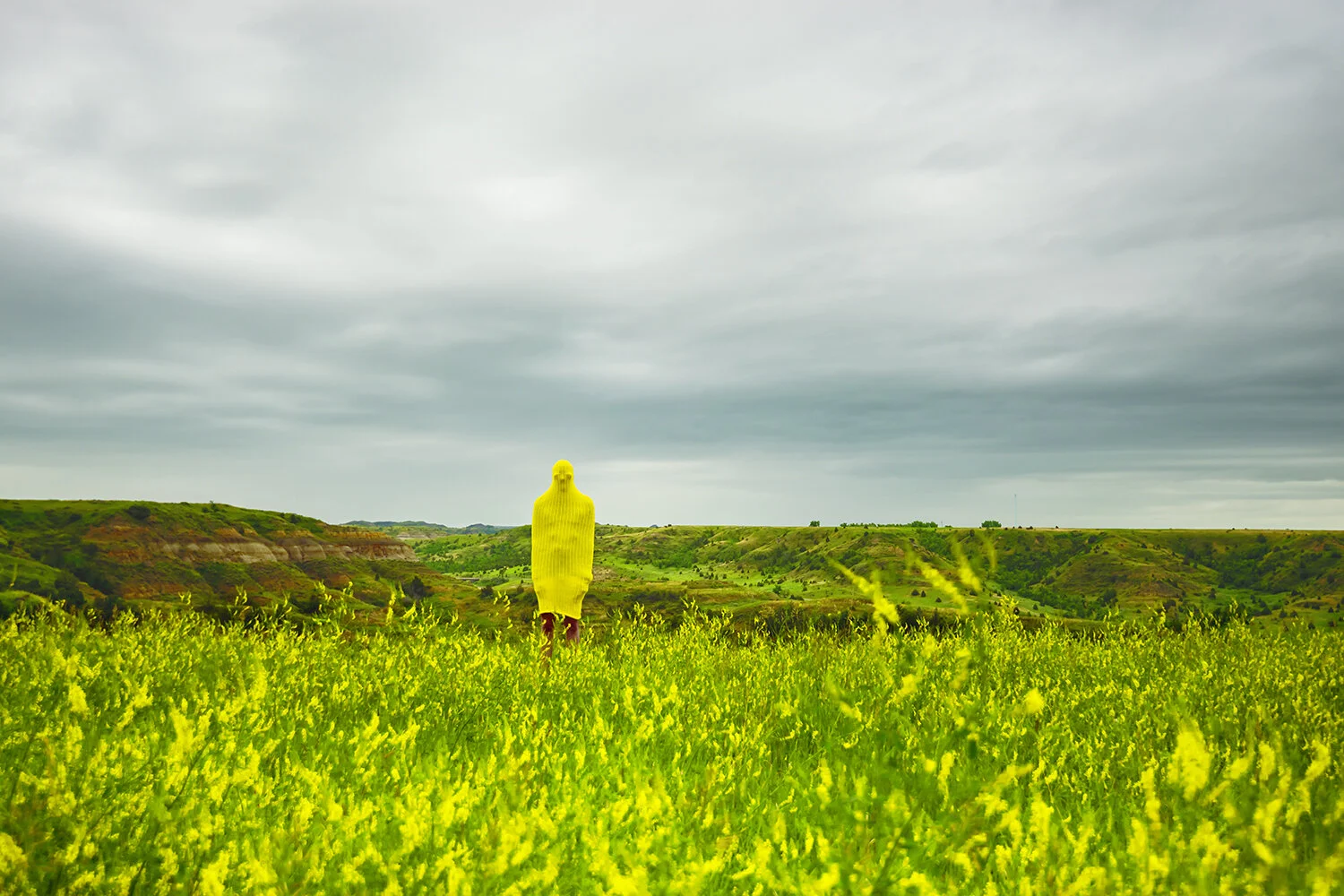 Kristin Skees, Alan (Badlands), 16x24 or 24x36 , 2015, Archival Inkjet Print on Hahnemühle Photo Rag Paper, Editions of 15 plus AP